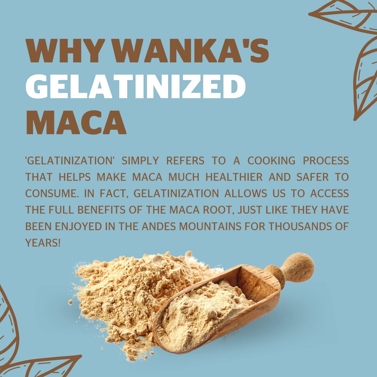 WANKA FOODS Organic Gelatinized Maca Powder, 8 oz