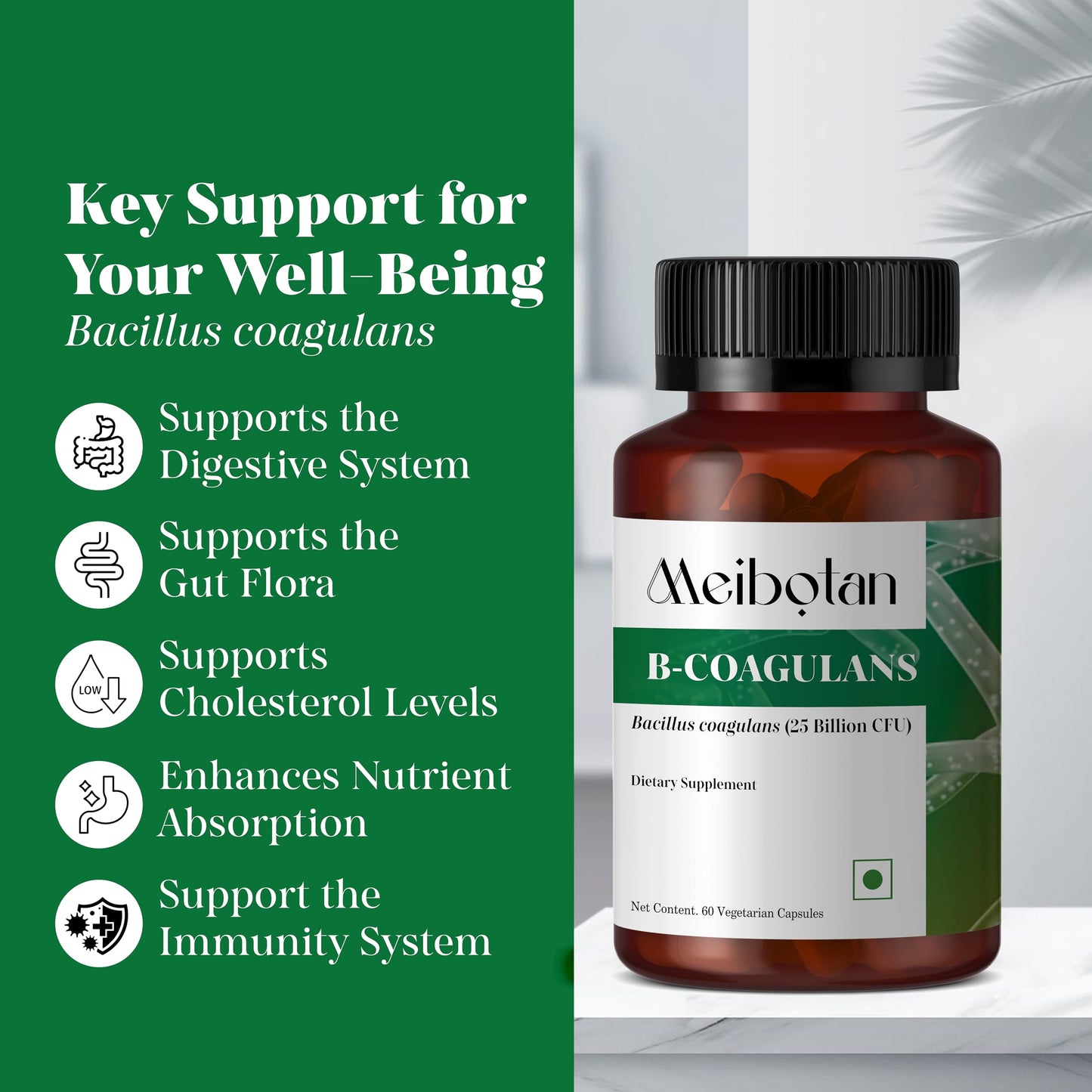 MEIBOTAN Bacillus Coagulans Probiotics Capsule, 60 Count
