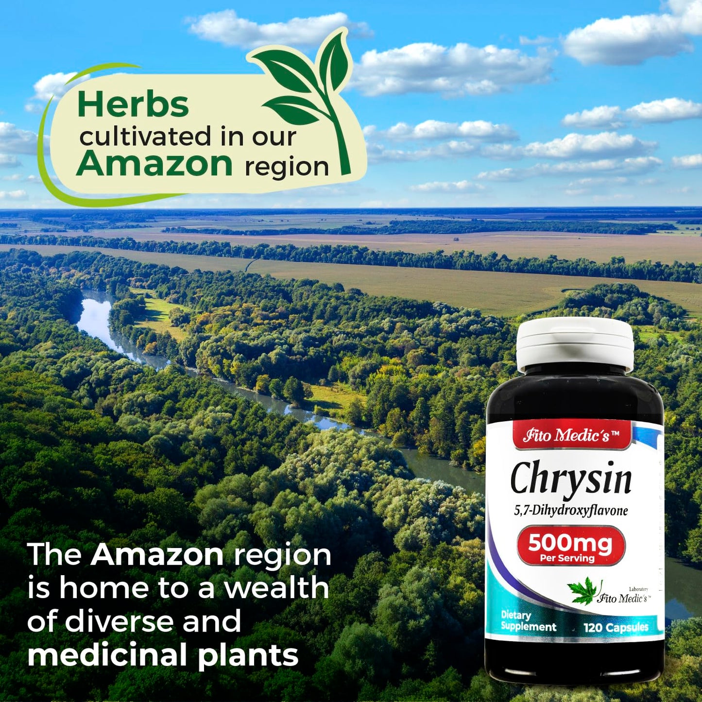 FITO MEDIC'S Lab Chrysin with Passion Flower Supplement Capsule, 1 Capsule