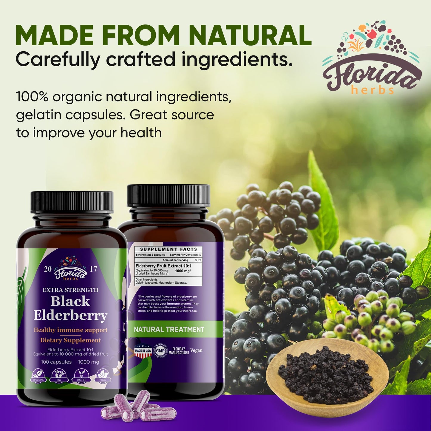 Florida Herbs Black Elderberry Capsules 100 Capsules