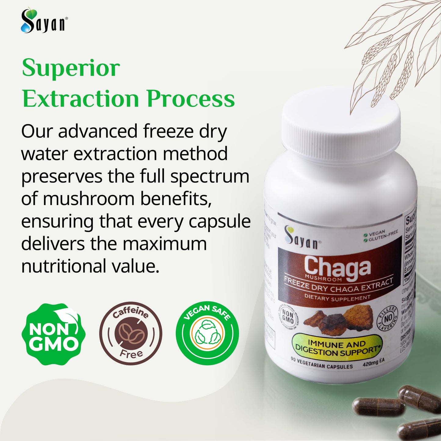 Sayan Siberian Chaga Mushroom Extract Capsules 90 Count