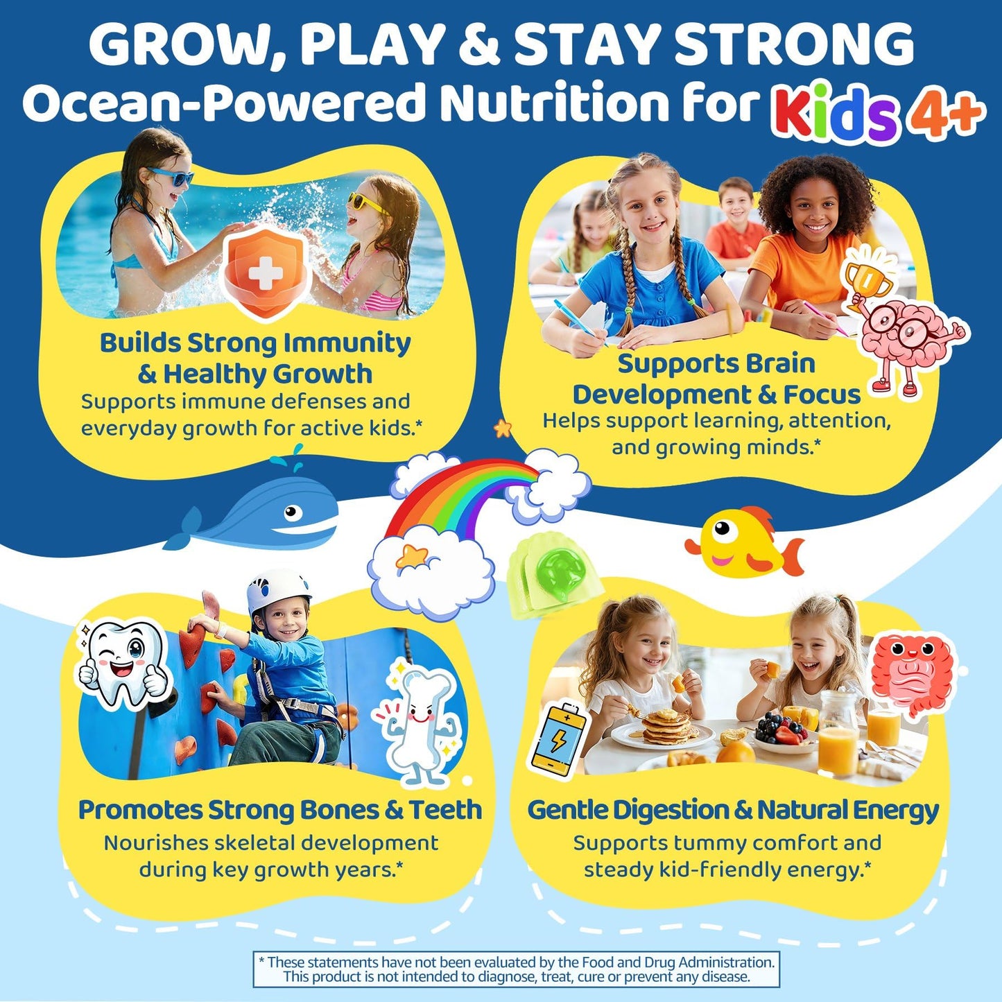 EnvyCure Sea Moss + Elderberry Gummies for Kids & Adults, 60 Count