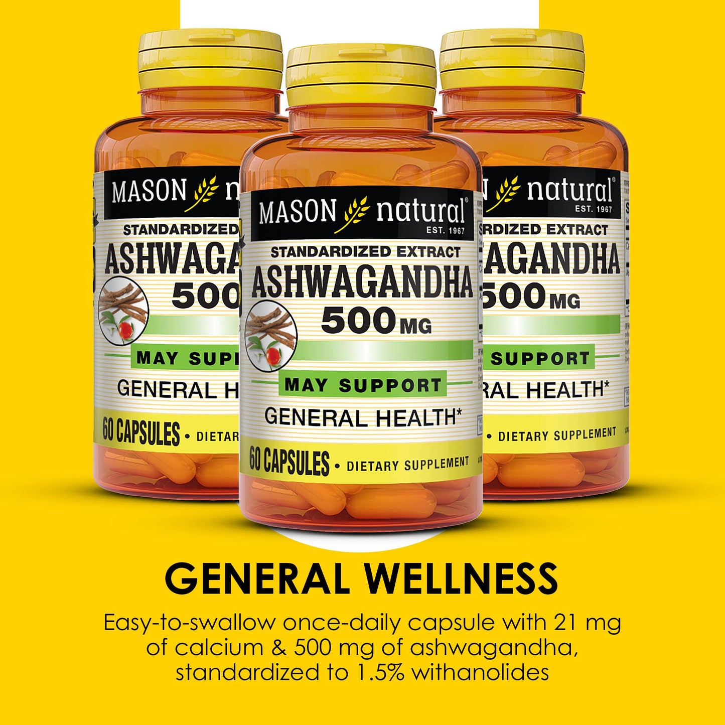 Mason Natural Ashwagandha 500 mg Adaptogen Capsule, 180 Count