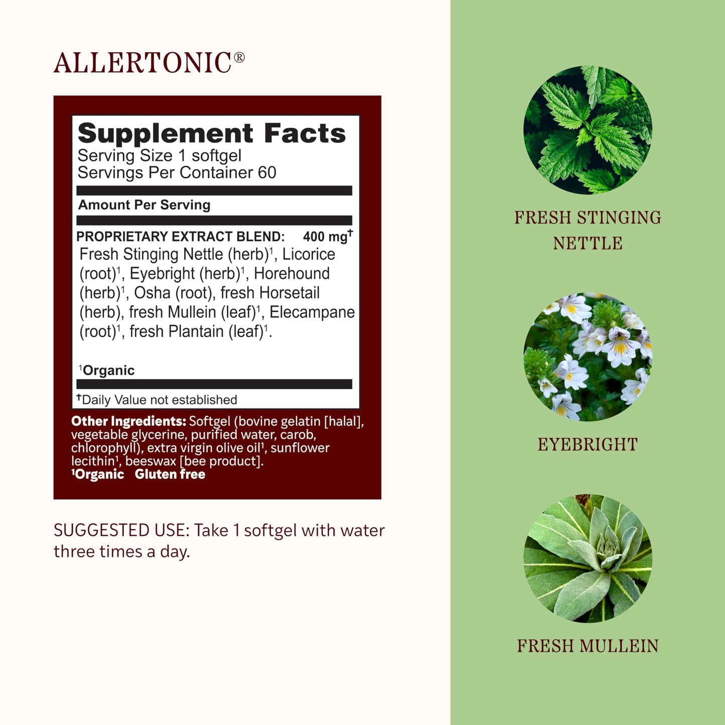 Herbs Etc. Allertonic Softgels - Herbal Allergy Supplement for Respiratory Support - Stinging Nettle, Eyebright & Fresh Mullein - Gluten-Free & Organic Softgels 60