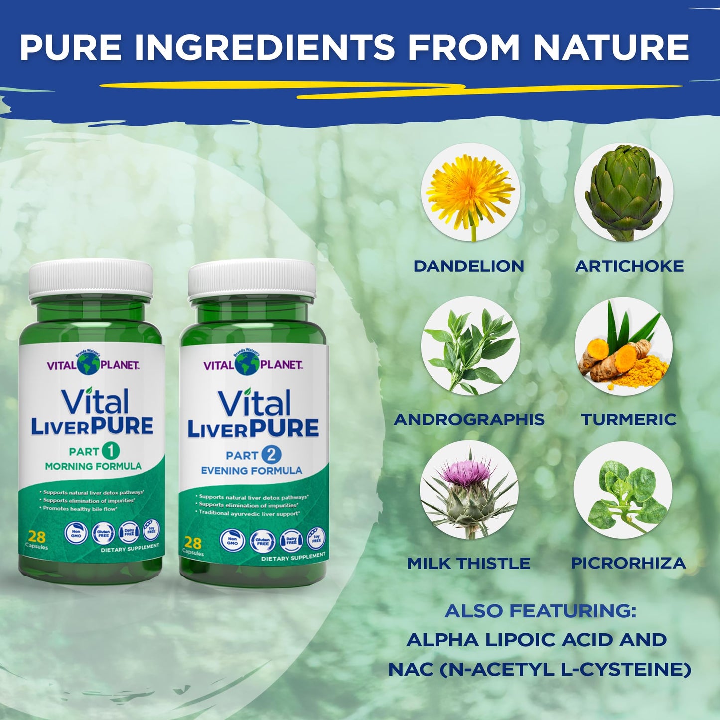 Vital Planet Vital Liver Pure Liver Cleanse Detox & Repair 56 Capsules