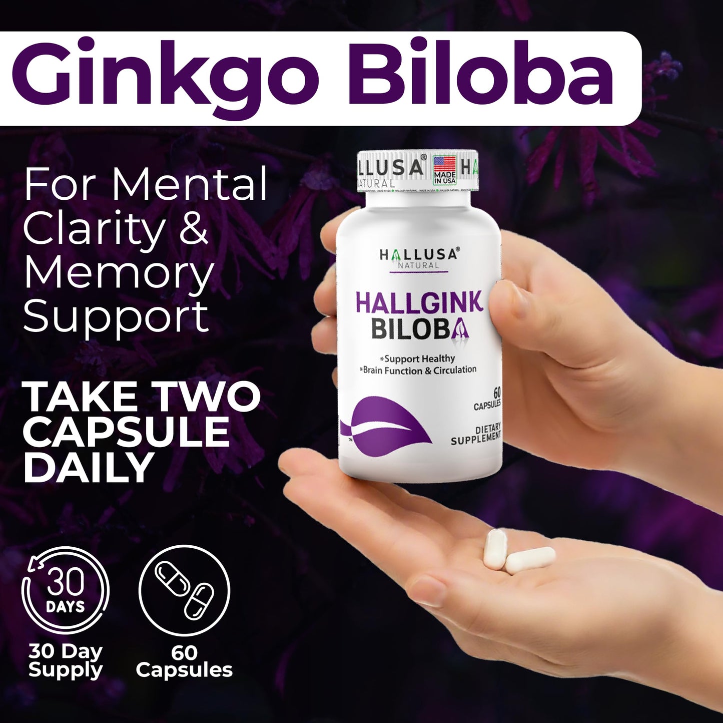 Ginkgo Biloba 24% 120 mg Capsules, 60 Count