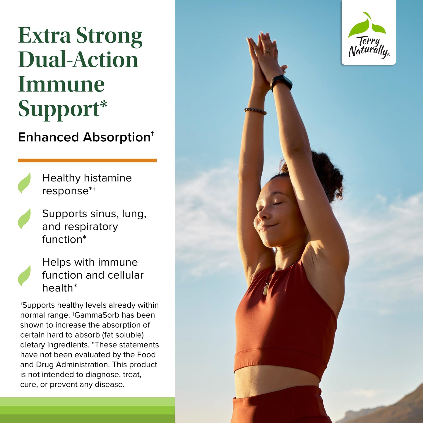 Terry Naturally Quercetin with Vitamin C Extra Strength Ultra Absorption Capsules 60