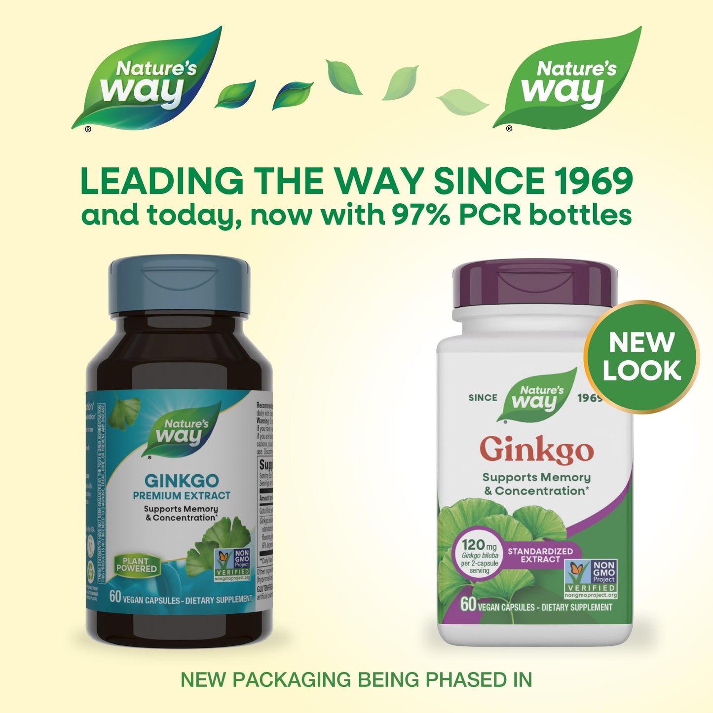 Nature's Way Ginkgo Premium Extract Capsules, 60 Capsules