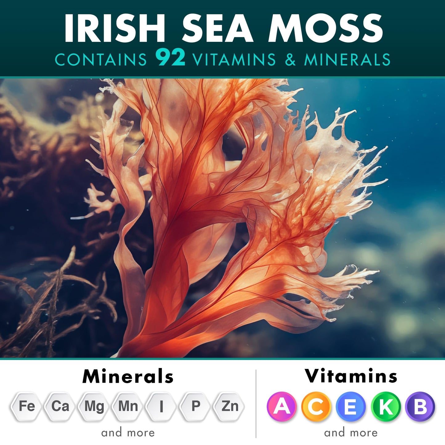 Secret Element Irish Sea Moss Black Seed Oil Ashwagandha Ginger Burdock Root All in One 20,000mg Capsules, 240 Count