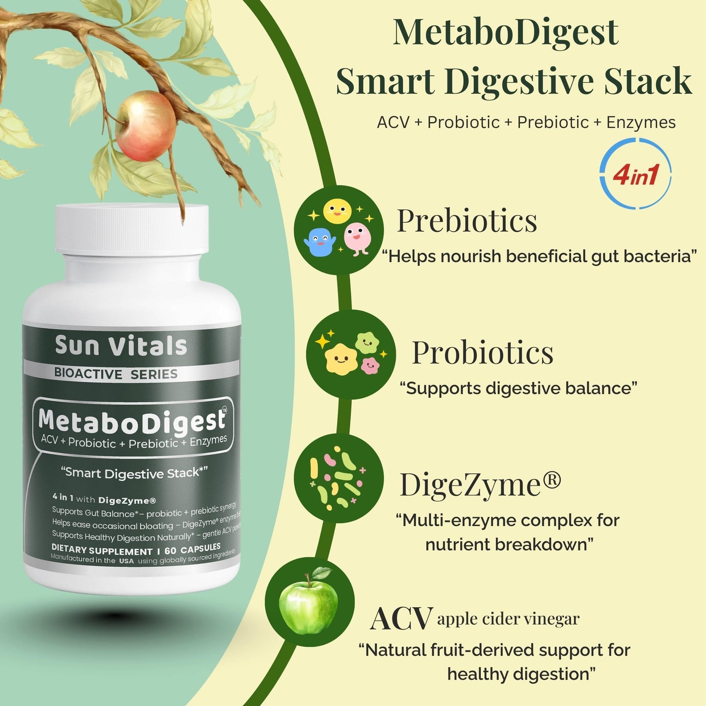 Sun Vitals MetaboDigest ACV Apple Cider Vinegar Capsules with Digestive Enzymes, Prebiotic Fiber & Probiotic, 60 Count