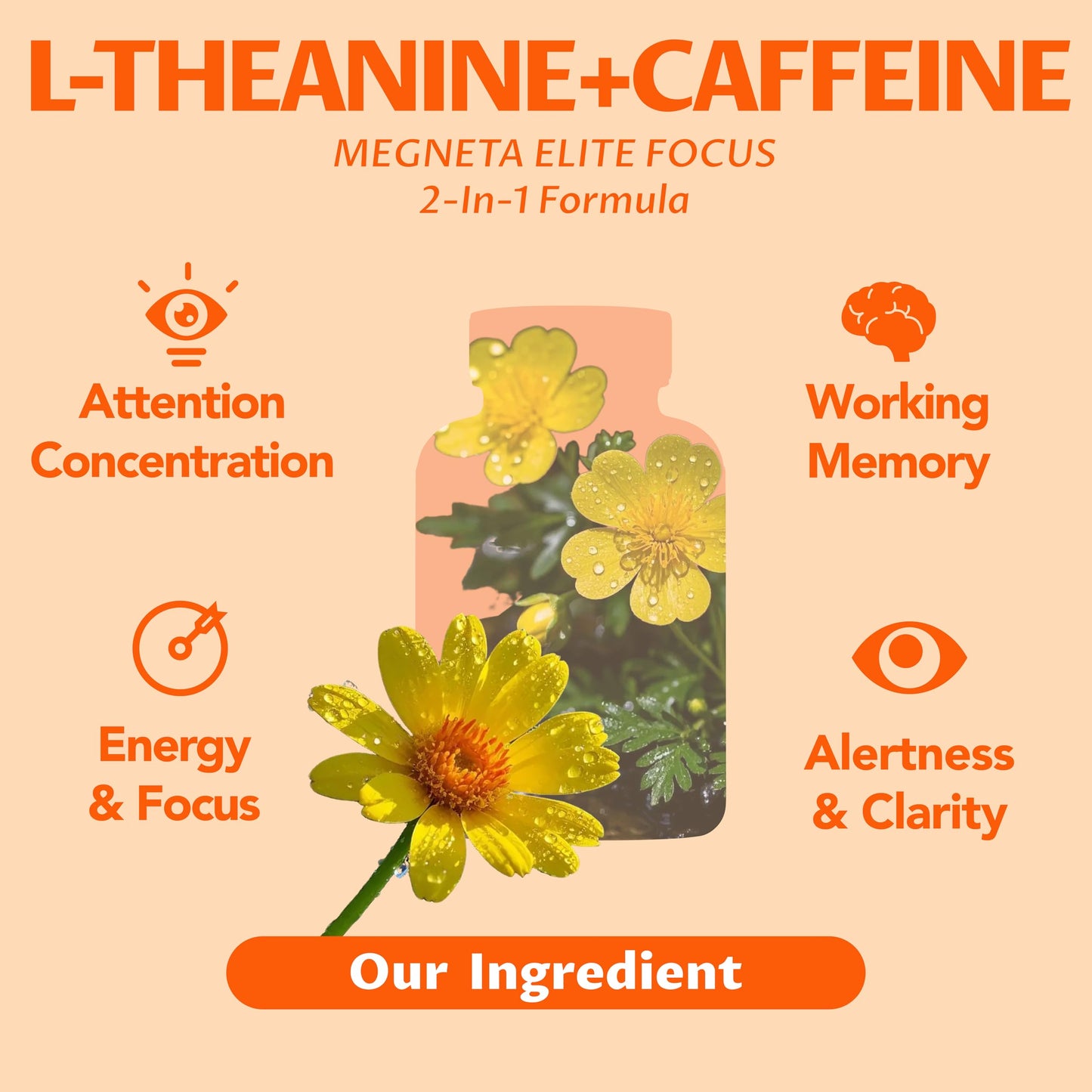 MEGNETA Elite Focus Premium Nootropic Supplement with Multi-Vitamin & L-Theanine for Cognitive Support 180 Capsules