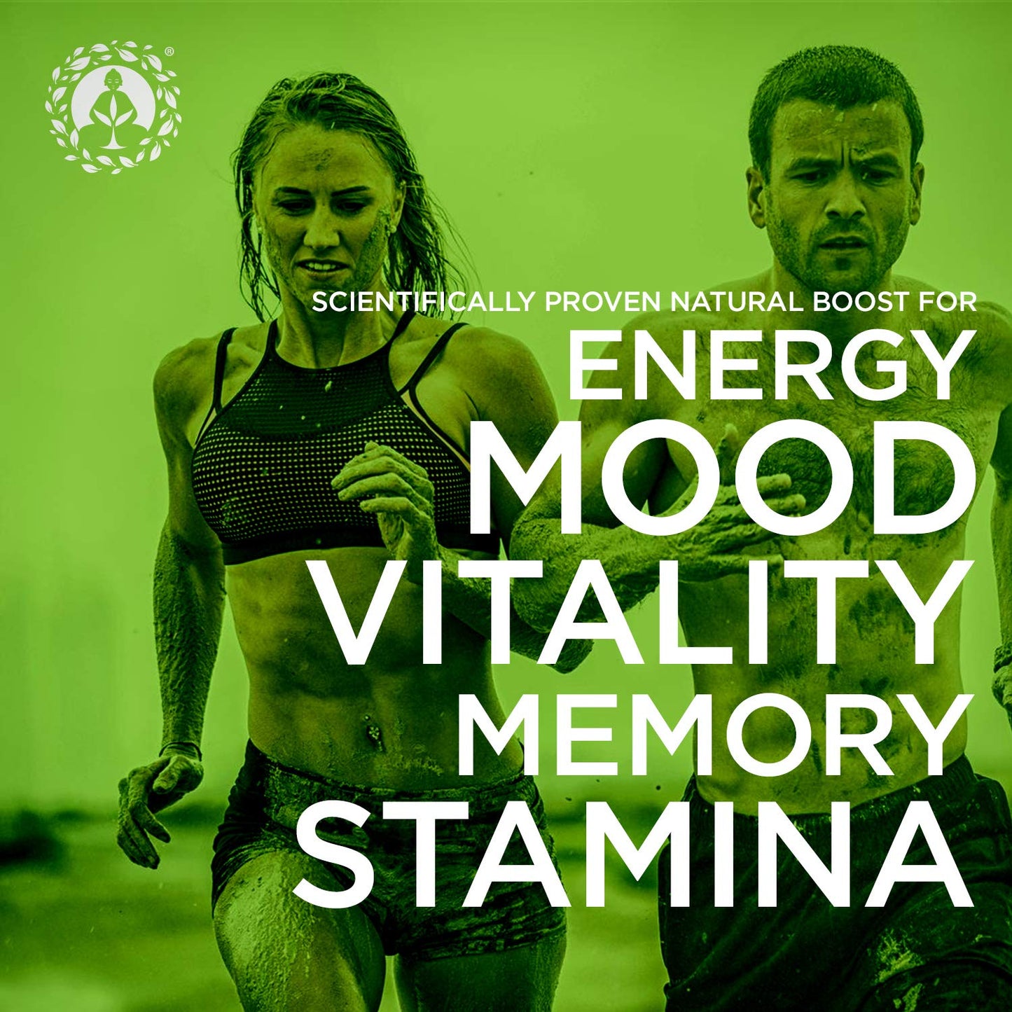 Zen Spirit Maca Root Capsules, 180 Capsules