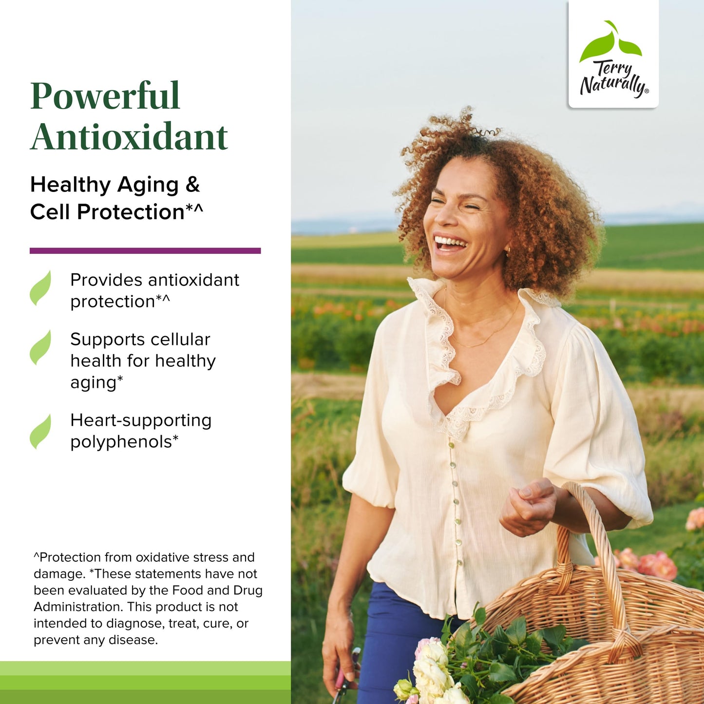 Terry Naturally Aronia Berry 300 Capsule 30
