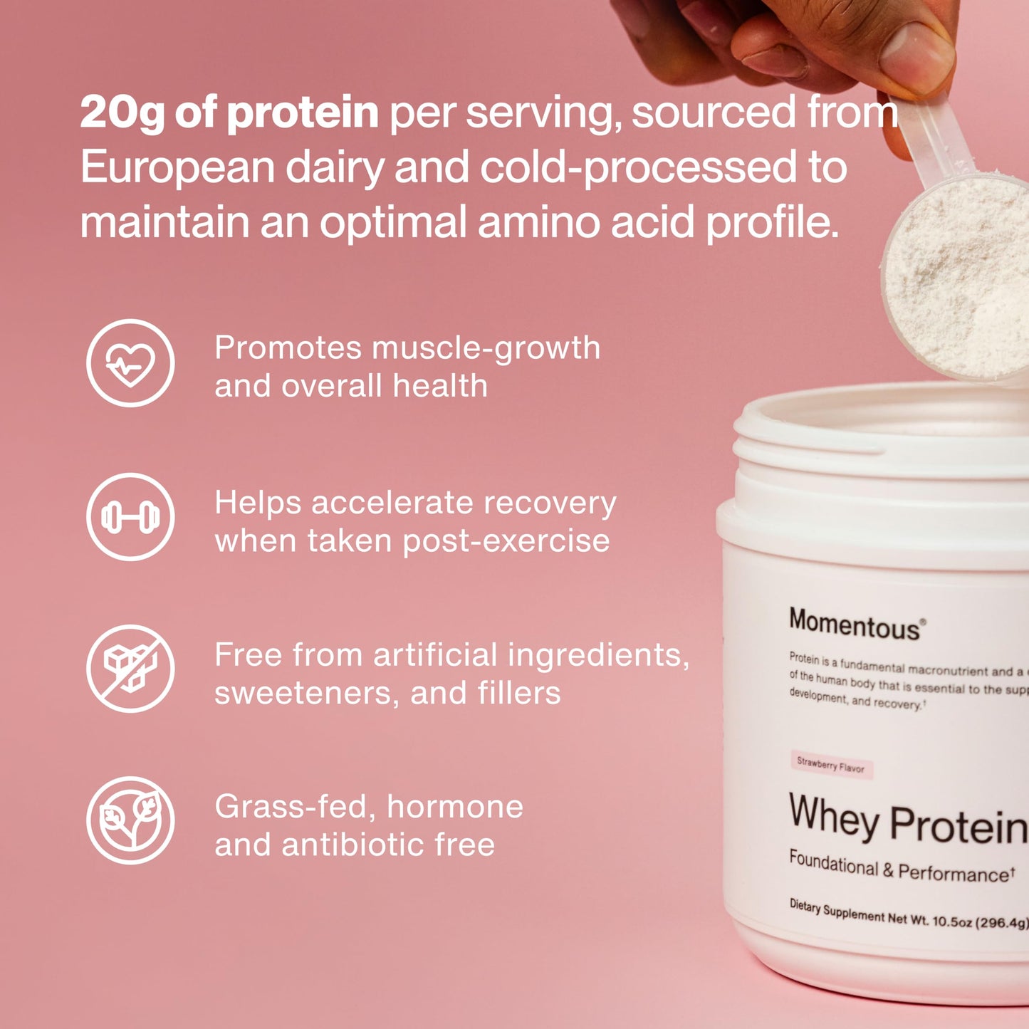 Momentous Essential Grass-Fed Whey Protein Powder Strawberry, 12 Servings