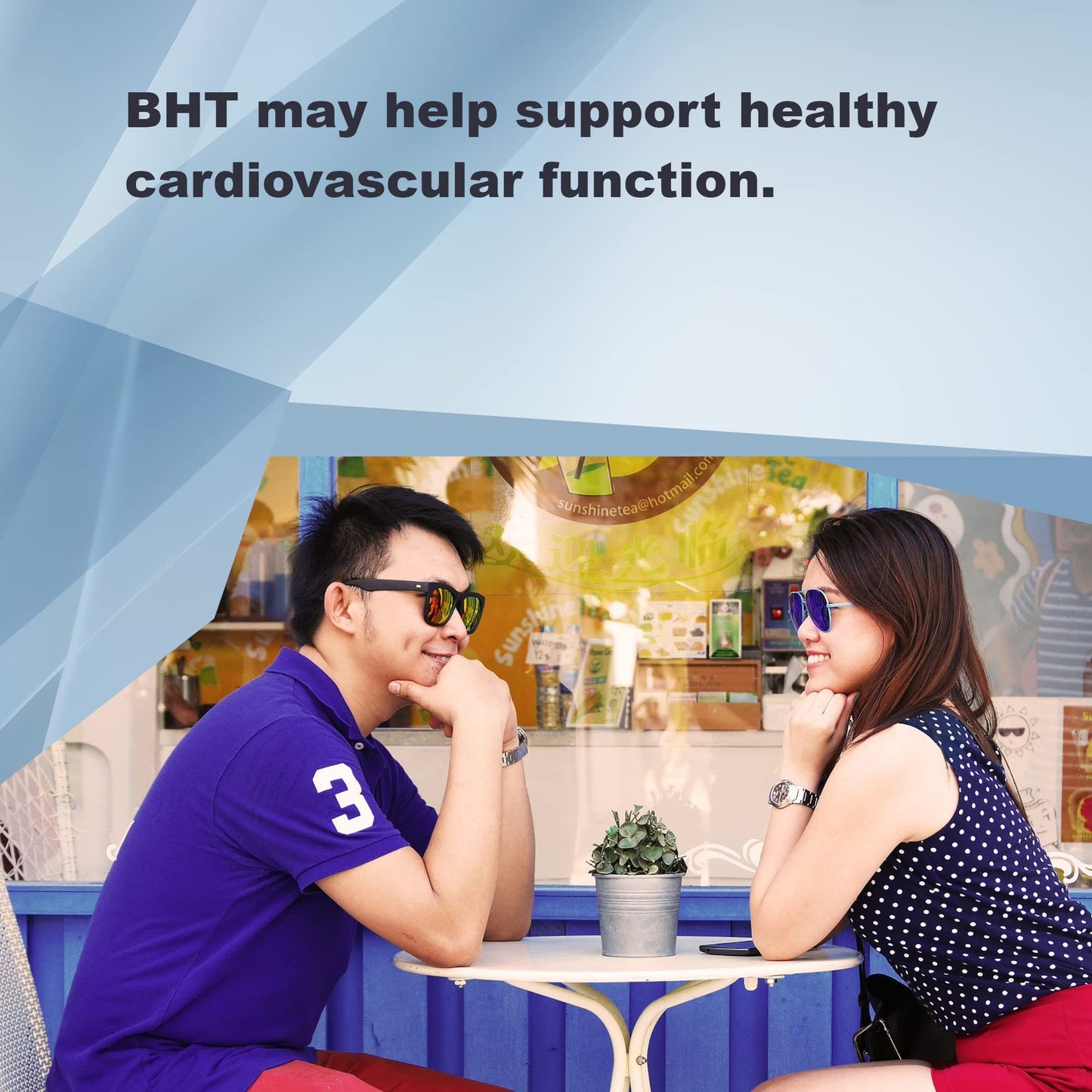 LifeLink BHT (Butylated Hydroxytoluene) 250 mg x 500 Capsules