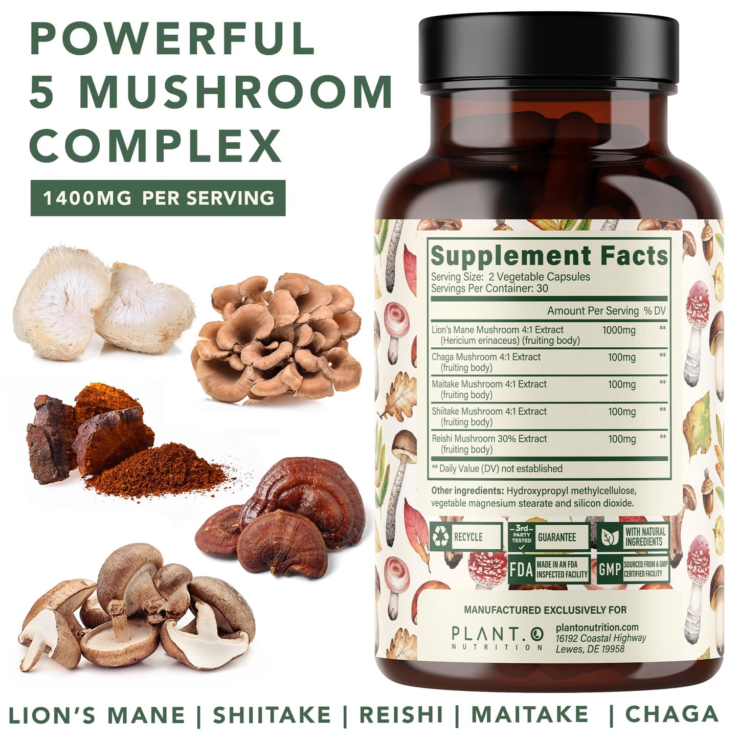 PLANT.O NUTRITION Lion's Mane Capsules 90 Count