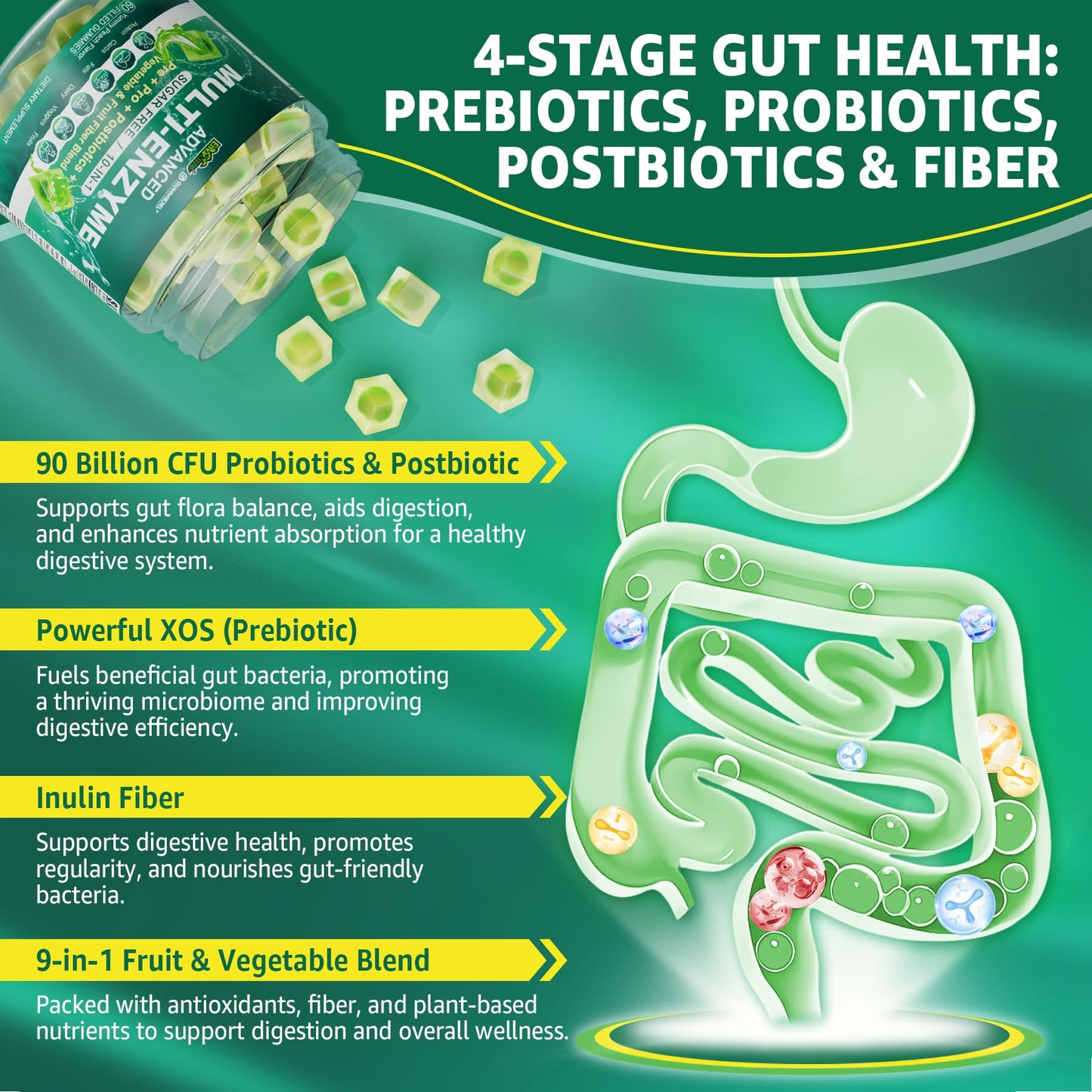 EnvyCure Digestive Enzymes Gummies 60 Count