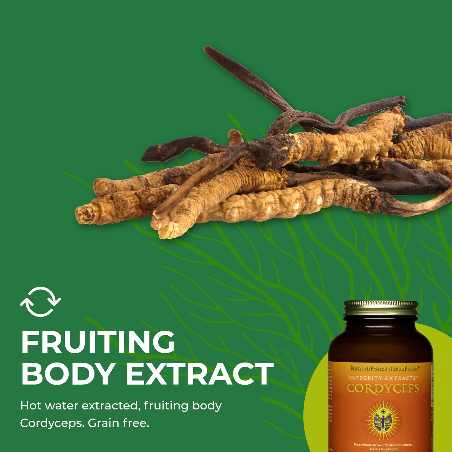 HEALTHFORCE SUPERFOODS Integrity Extracts Cordyceps Powder 130 Grams