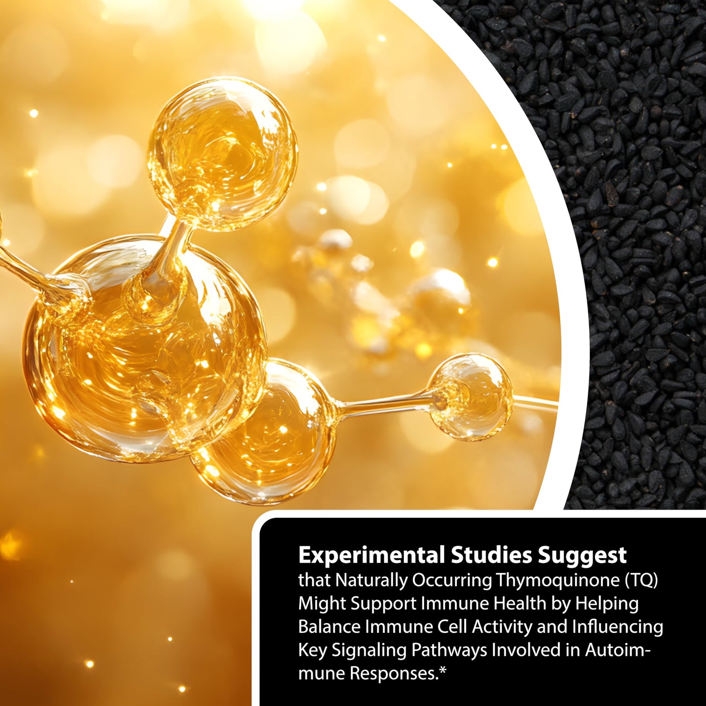 Naturalis Cold Pressed Black Seed Oil 1000mg Softgels 120 Count
