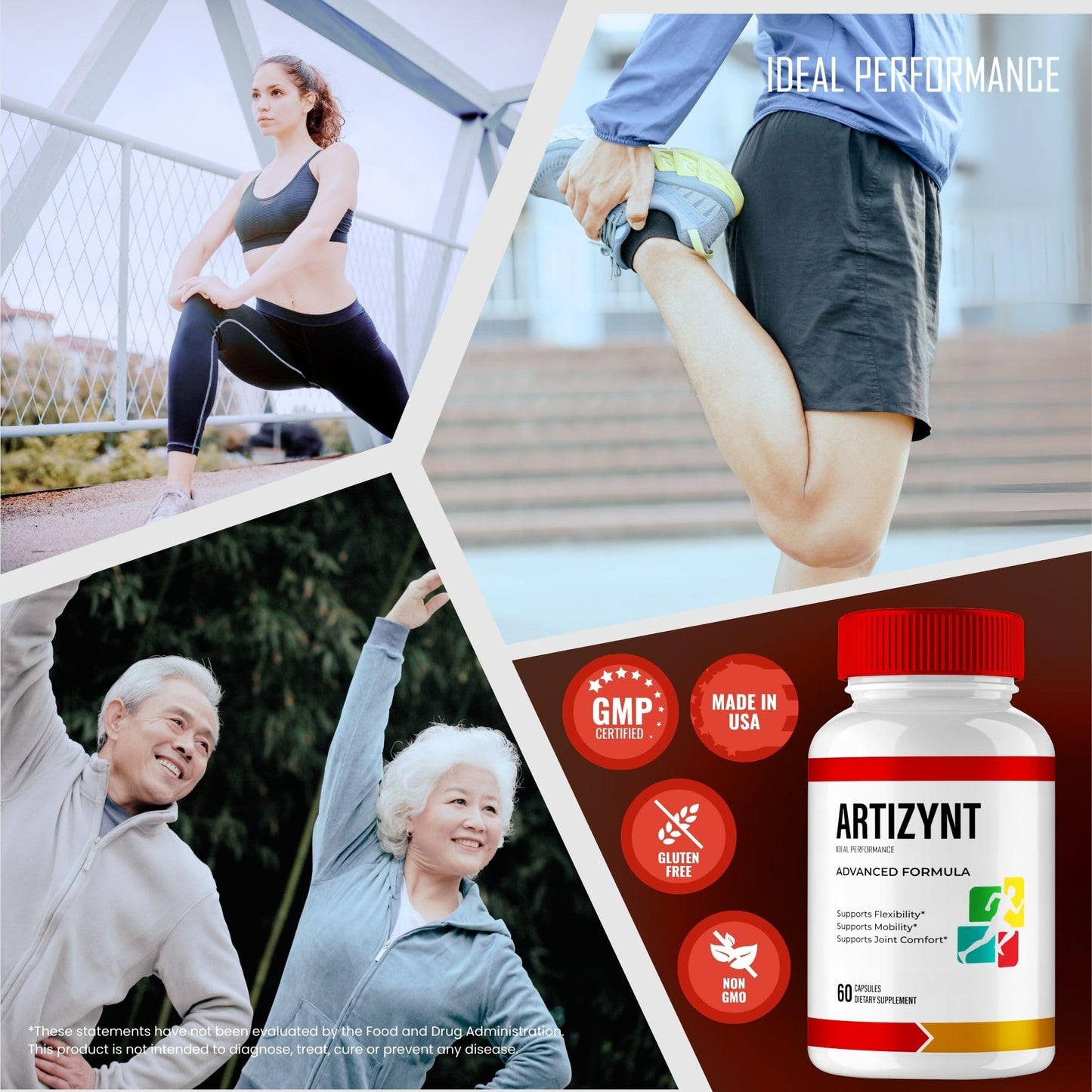 IDEAL PERFORMANCE Artizynt Capsules 120 Capsules