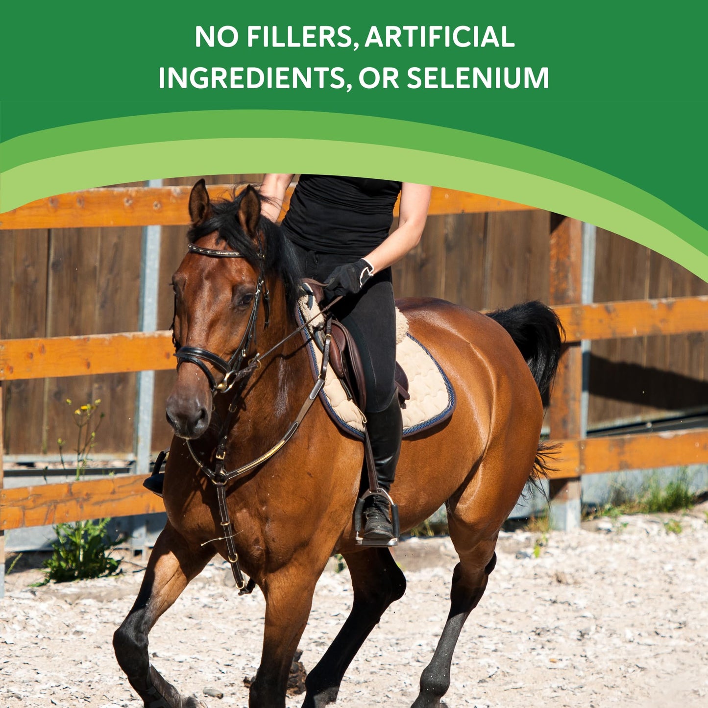 Health-E Vitamin E Supplement for Horses Powder 60 Servings