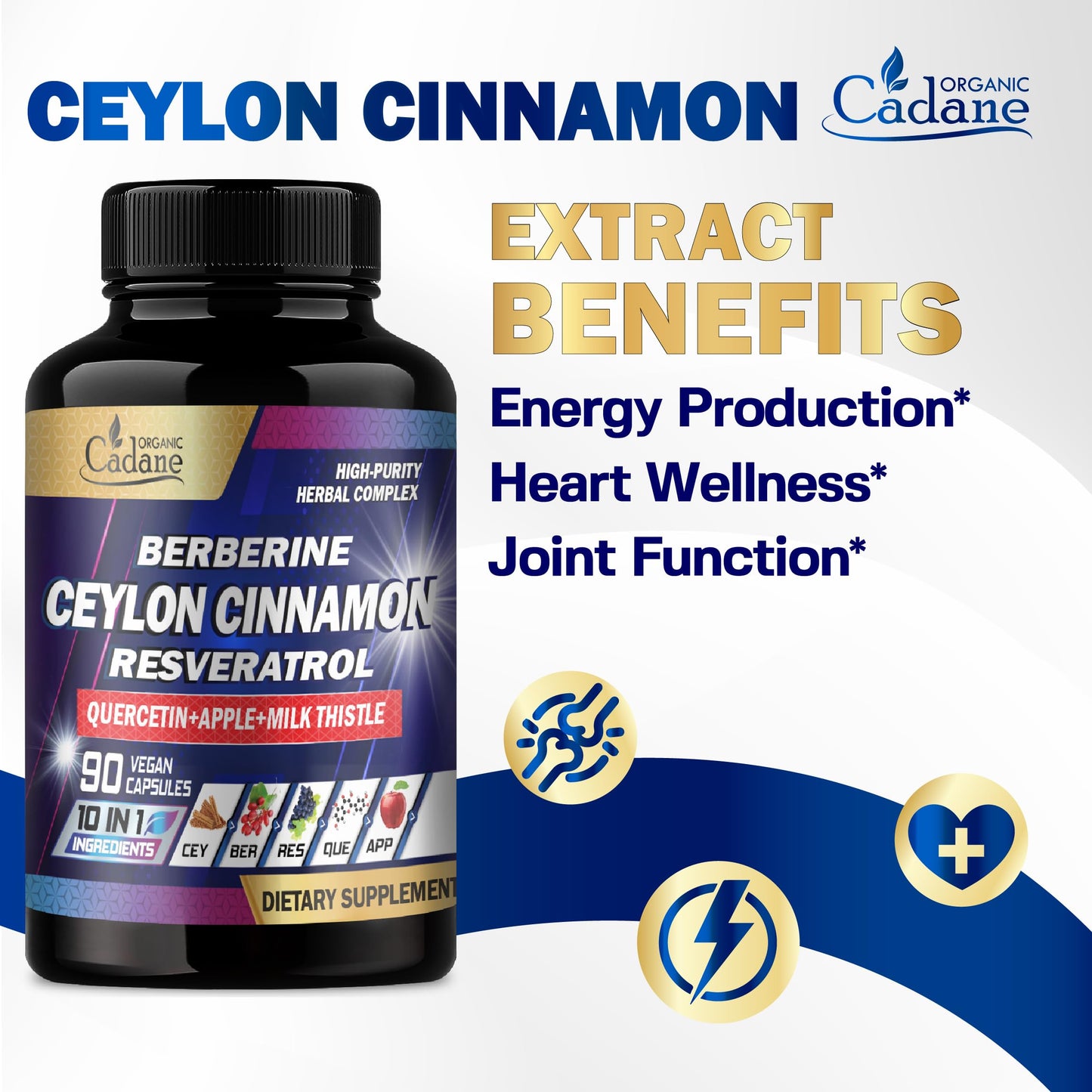Organic Cadane Ceylon Cinnamon Berberine Quercetin Supplement Capsule 90 Count