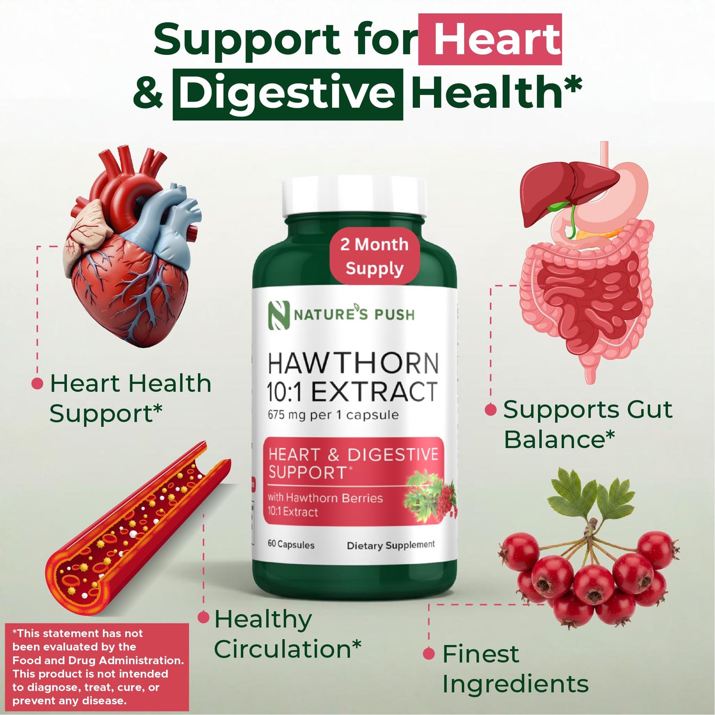 Nature's Push Hawthorn Berry Supplement 10:1 Extract 675mg Capsules, 60 Count