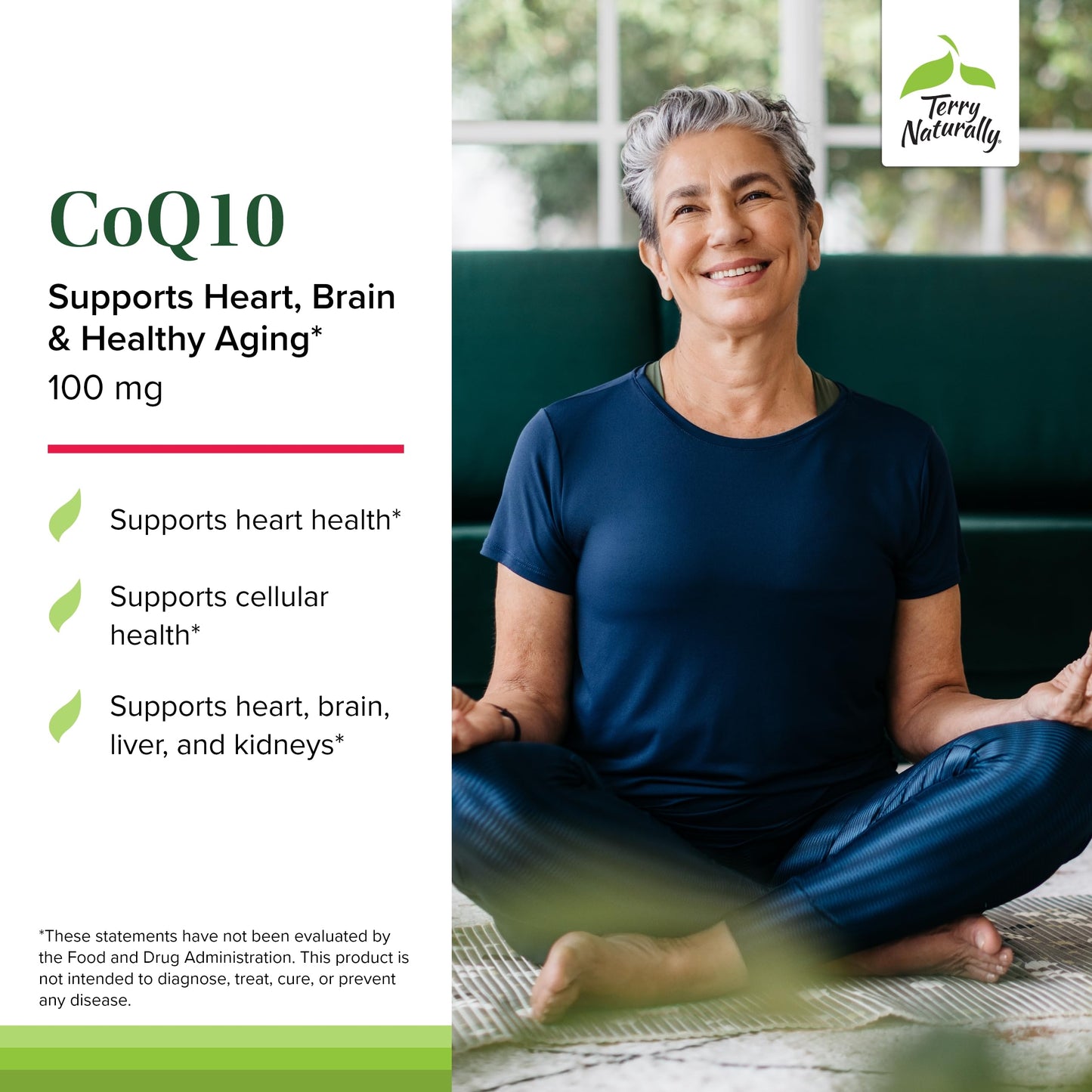 Terry Naturally CoQ10 Tablet, 30 Tablets
