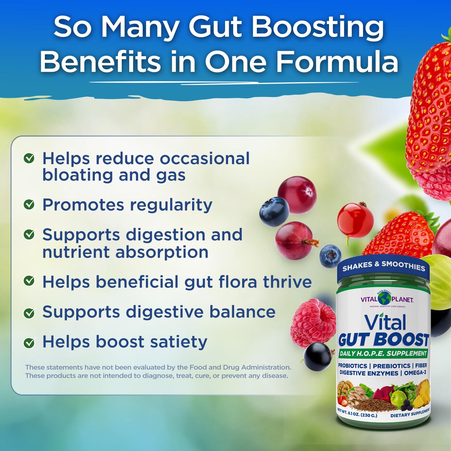 Vital Planet Vital Gut Boost Powder, 8.1 oz