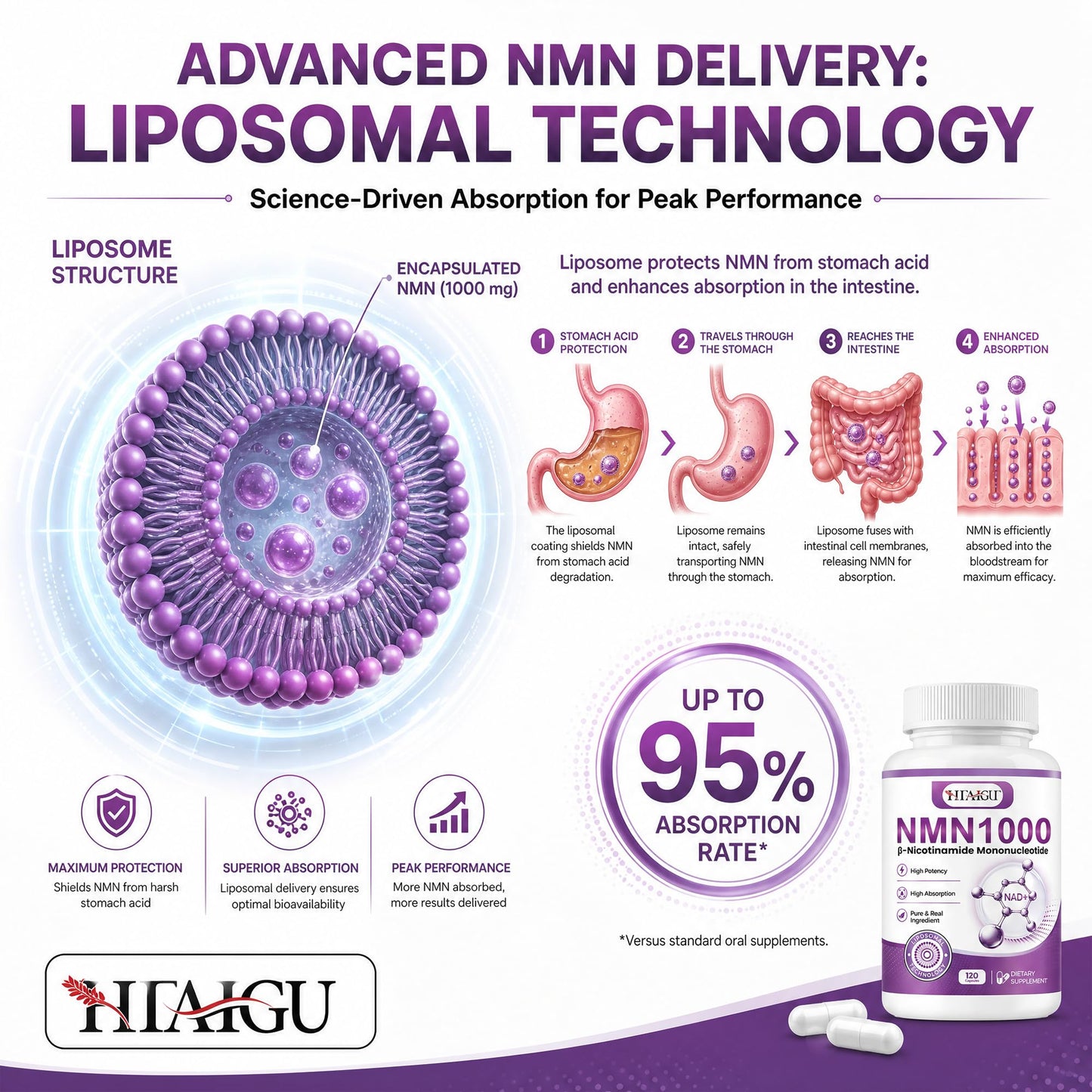 HEALGUT Liposomal NMN Supplement 1000mg Per Serving, 99.9% Pure NMN (Nicotinamide Mononucleotide) for NAD+ Support, Cellular Energy, Healthy Aging & Longevity, Higher Absorption, 120 Capsules