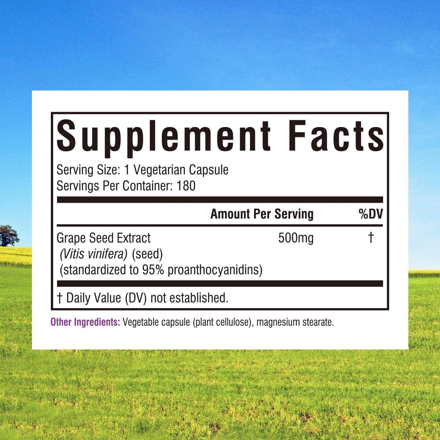 Innate Vitality Grape Seed Extract 500mg Capsules, 180 Count