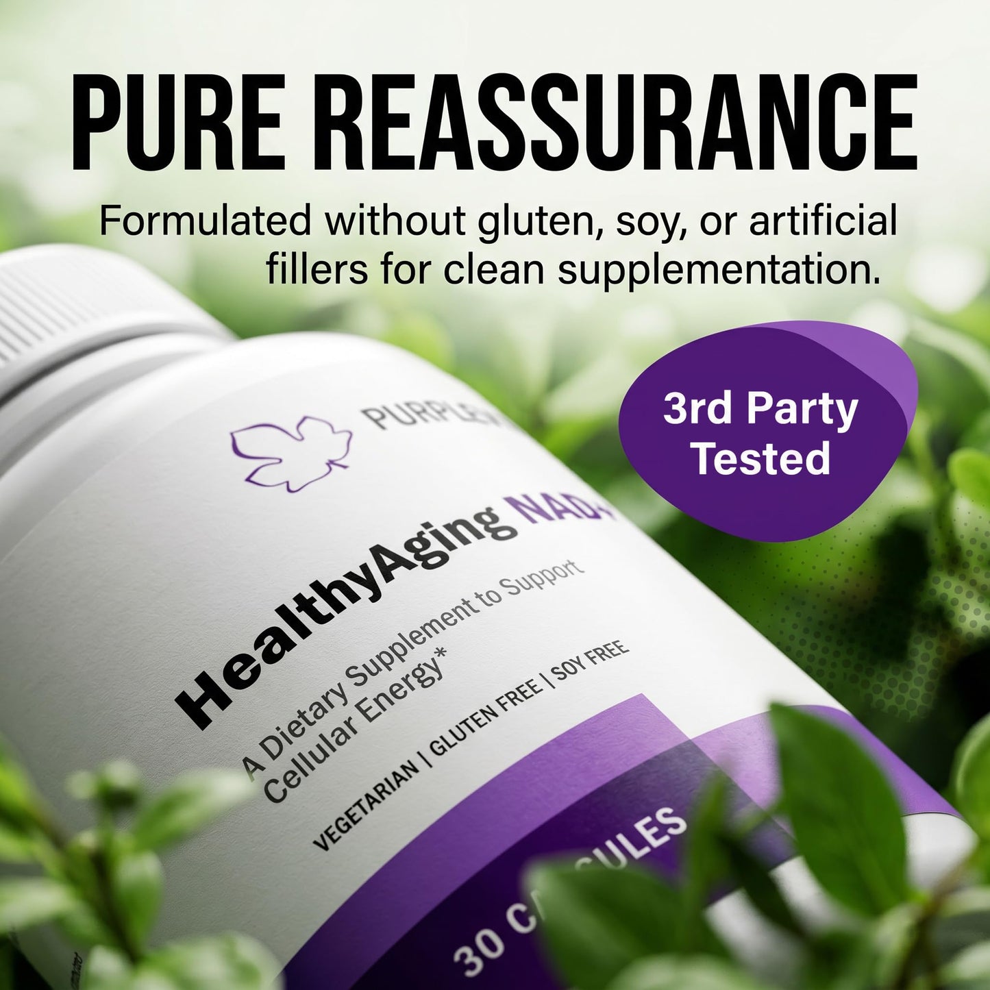 PURPLEVITA NAD + Plus Supplement Healthy Aging with RiaGev-WS, Vitamin C & Niacin, Cellular Energy, Metabolism and Stress Support, 30 Capsules