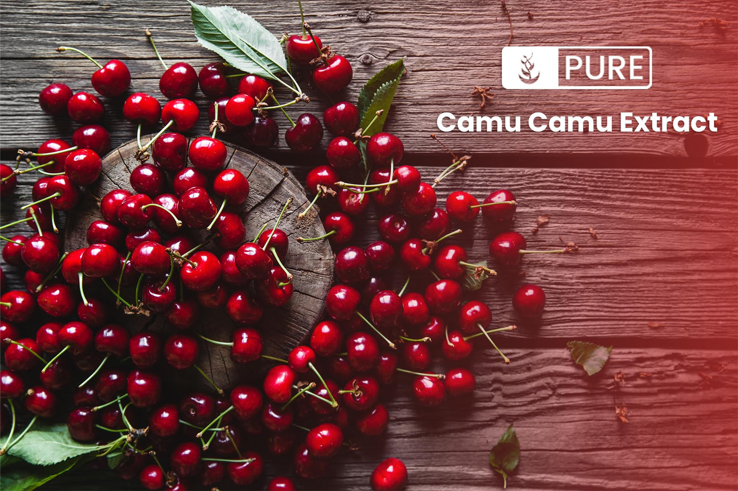 PURE ORIGINAL INGREDIENTS Camu Camu Vitamin C Powder 16 oz