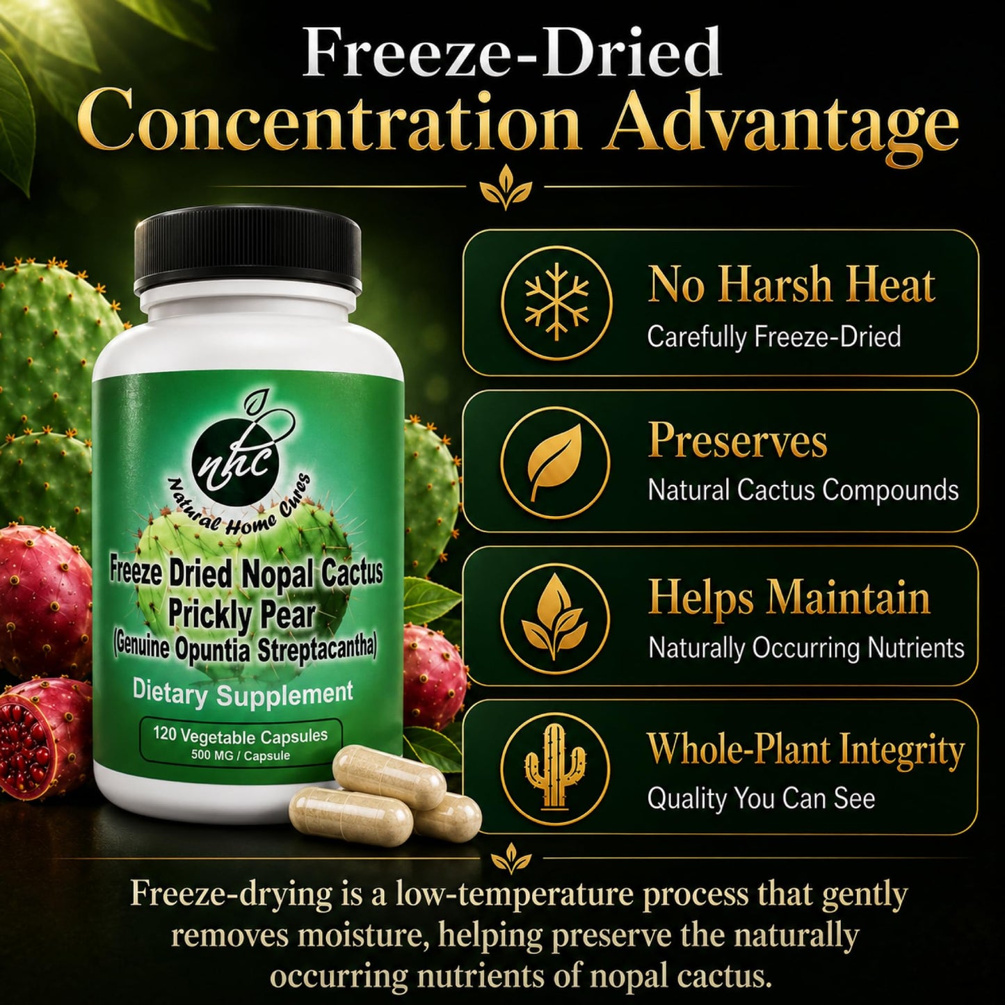 Natural Home Cures Premium Freeze-Dried Nopal Cactus Capsules, 240 Count