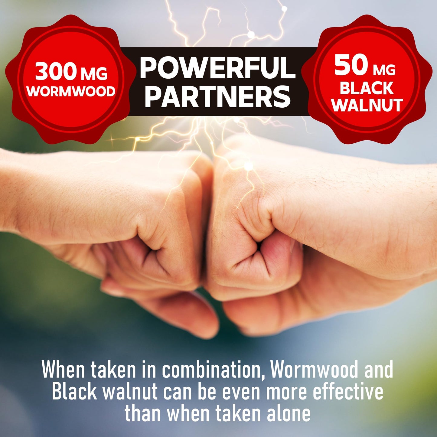 DEDICAD Wormwood Capsules 100 Capsules