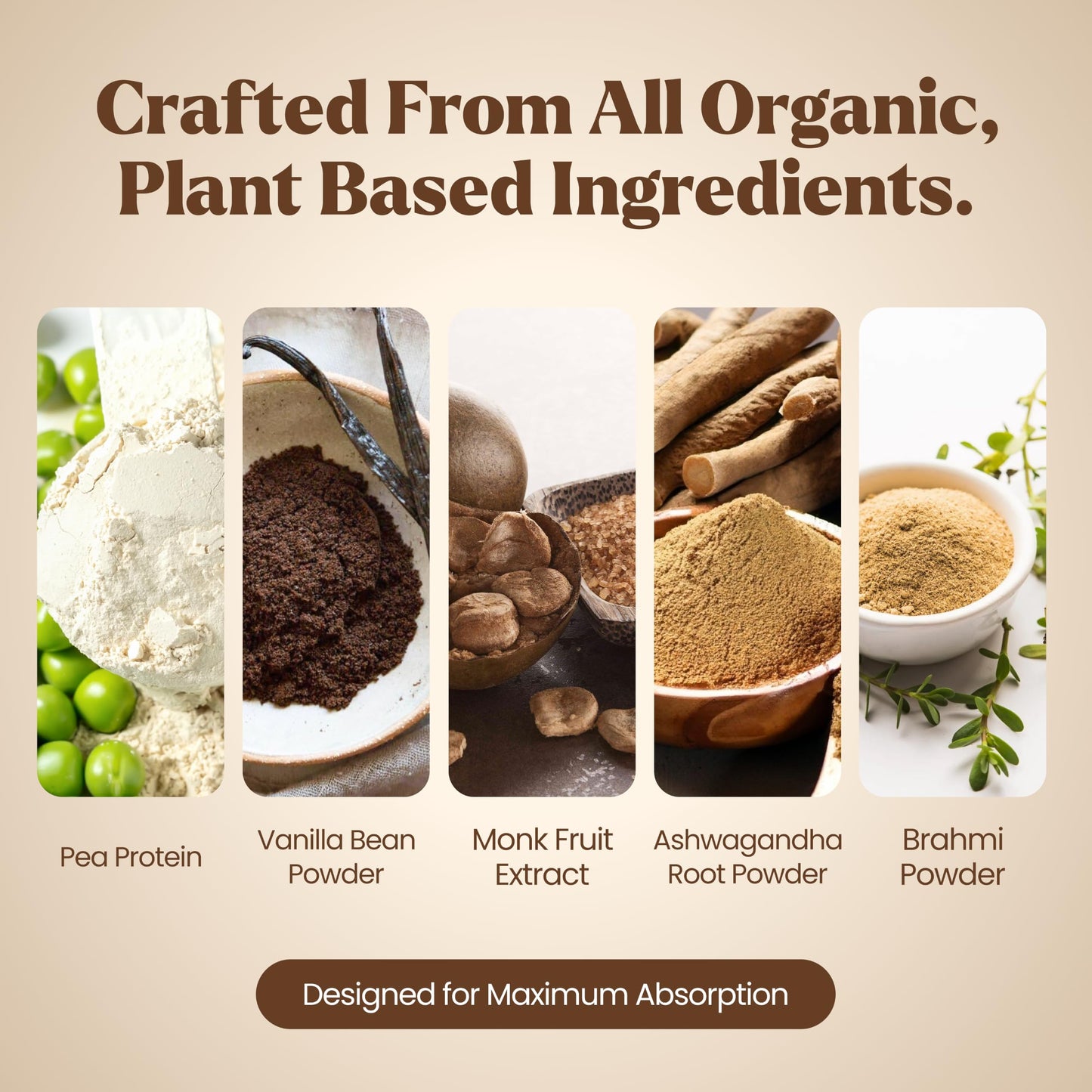 Elements Truffles Vanilla Plant Protein Powder (20g Protein), 1.25 Pound