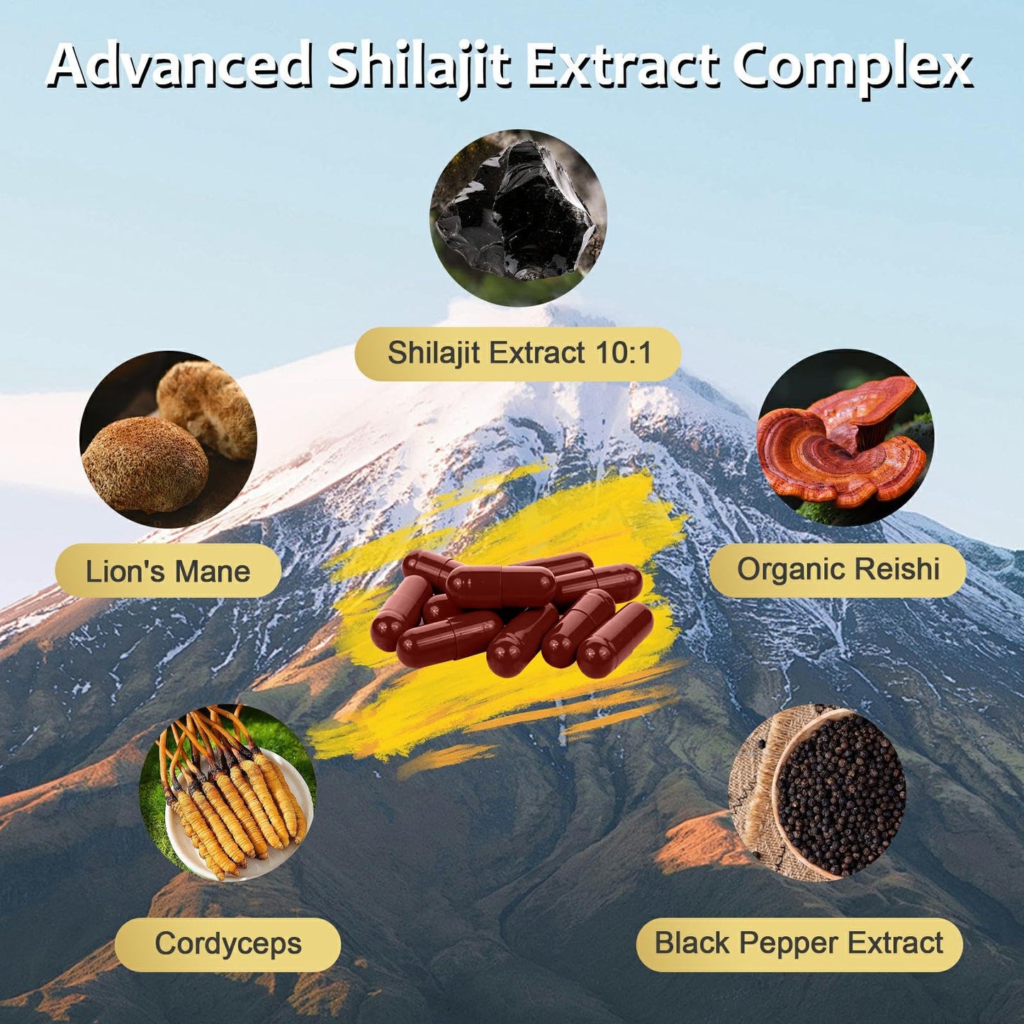 OMOGS Shilajit Capsule 1 Count