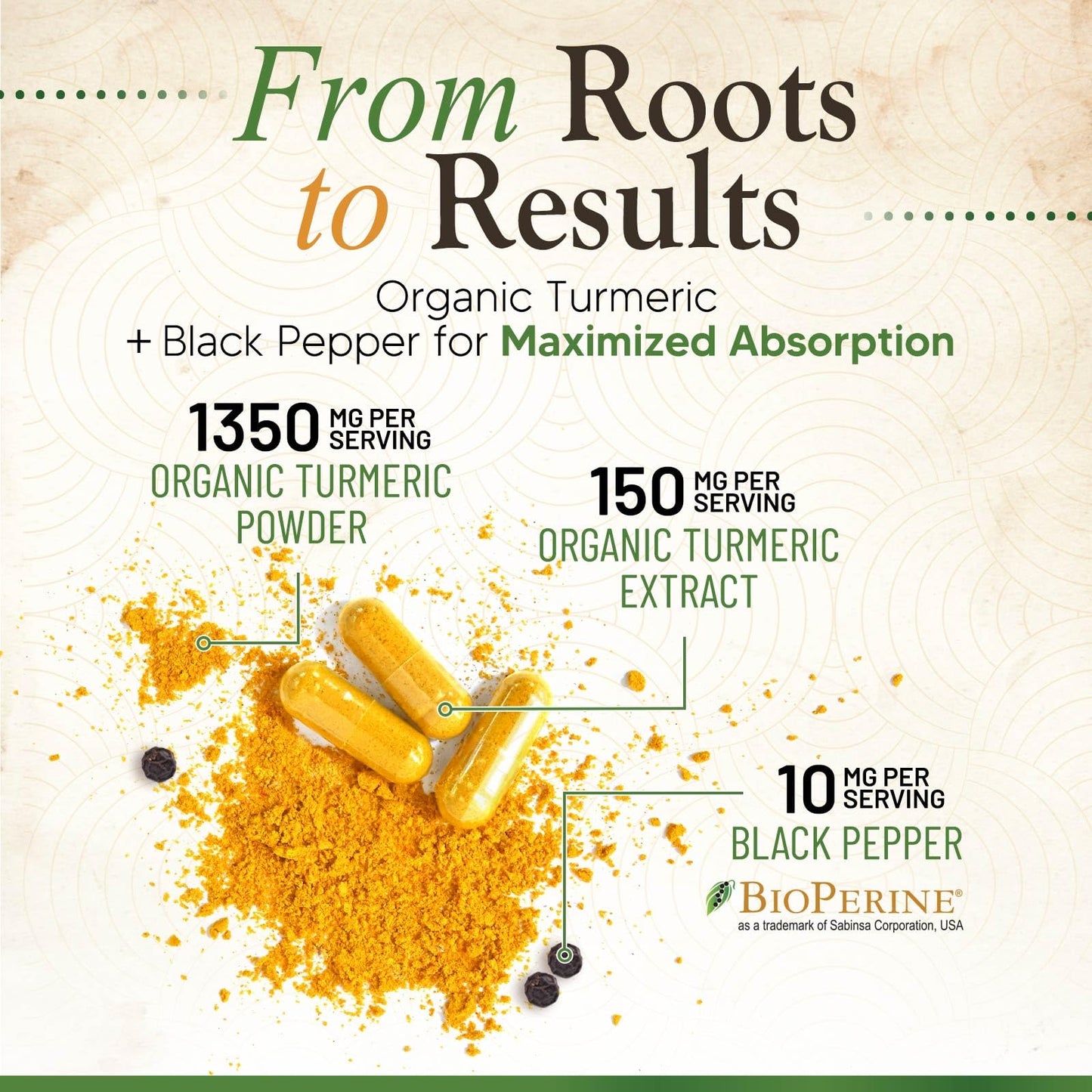 Nature's Nutrition Turmeric Curcumin Supplement 1500mg with BioPerine Black Pepper for Absorption, Organic Turmeric & 95% Curcuminoids, Joint & Immune Support, Non-GMO, 240 Capsules