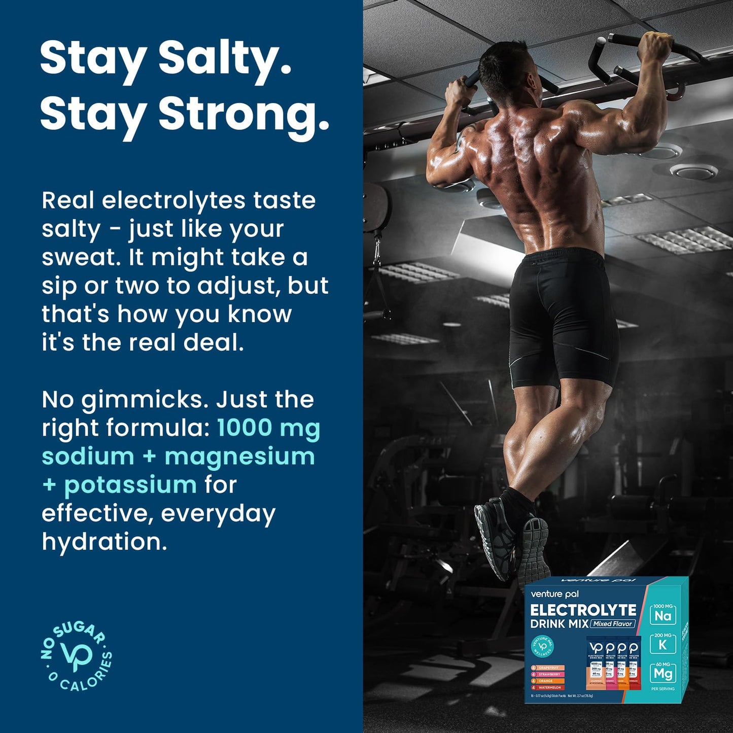 Venture Pal High Sodium Sugar Free Electrolytes Powder, 16 Sticks