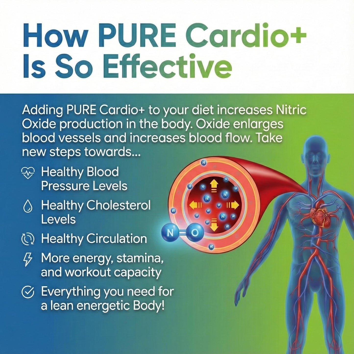 PURE Cardio+ Nitric Oxide Heart & Circulation Support Powder, Cherry, 13.18 oz