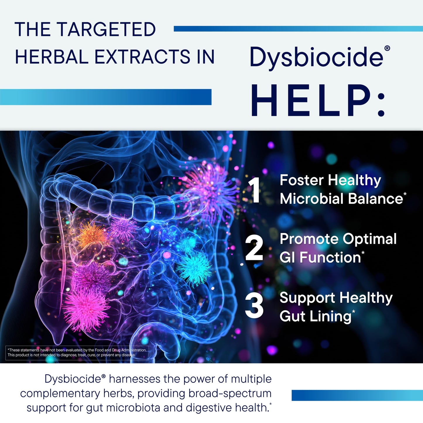 Biotics Research Dysbiocide Synergistic Botanical Blend Capsule 120