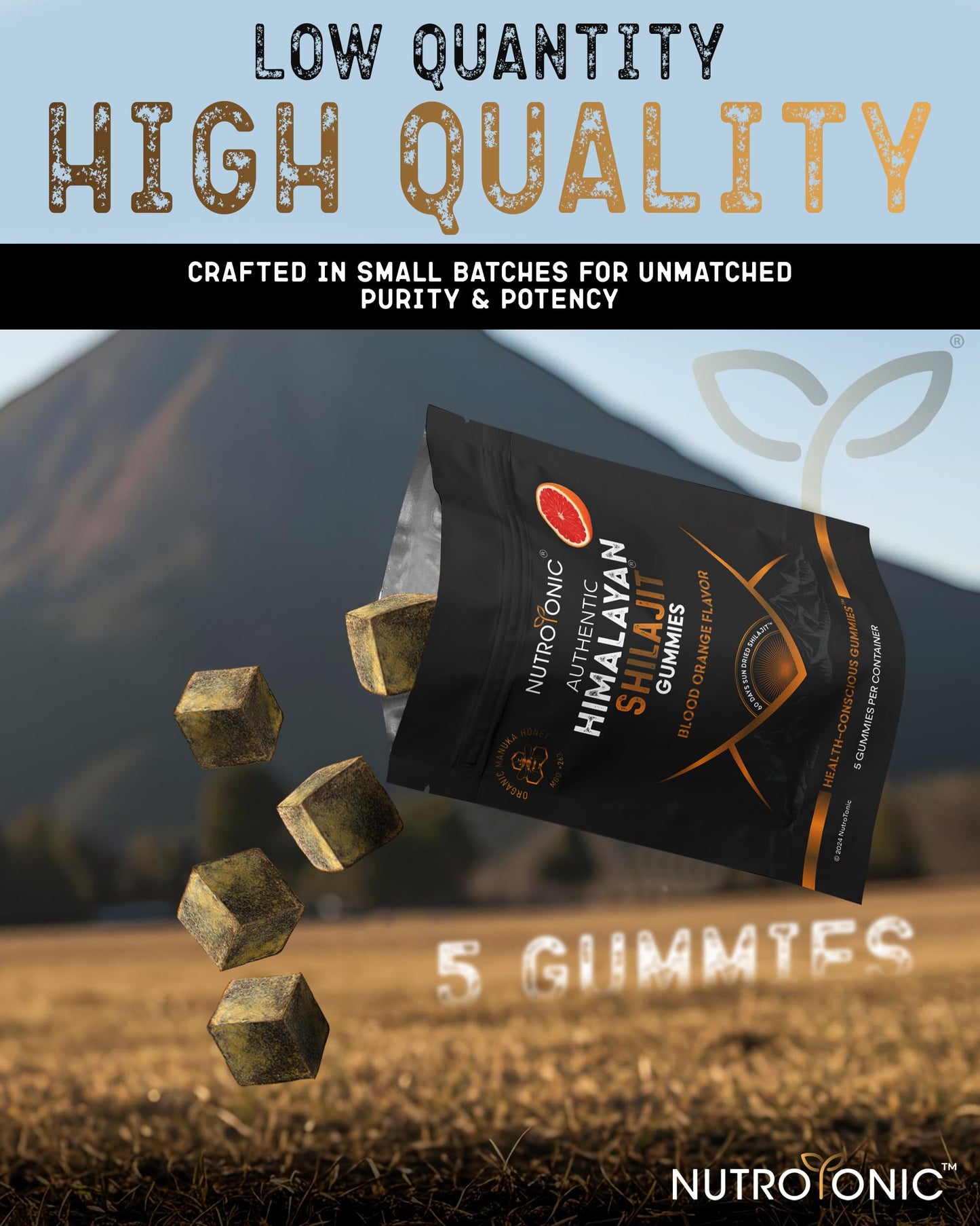 NutroTonic LLC Authentic Himalayan Shilajit Gummies Pack of 5