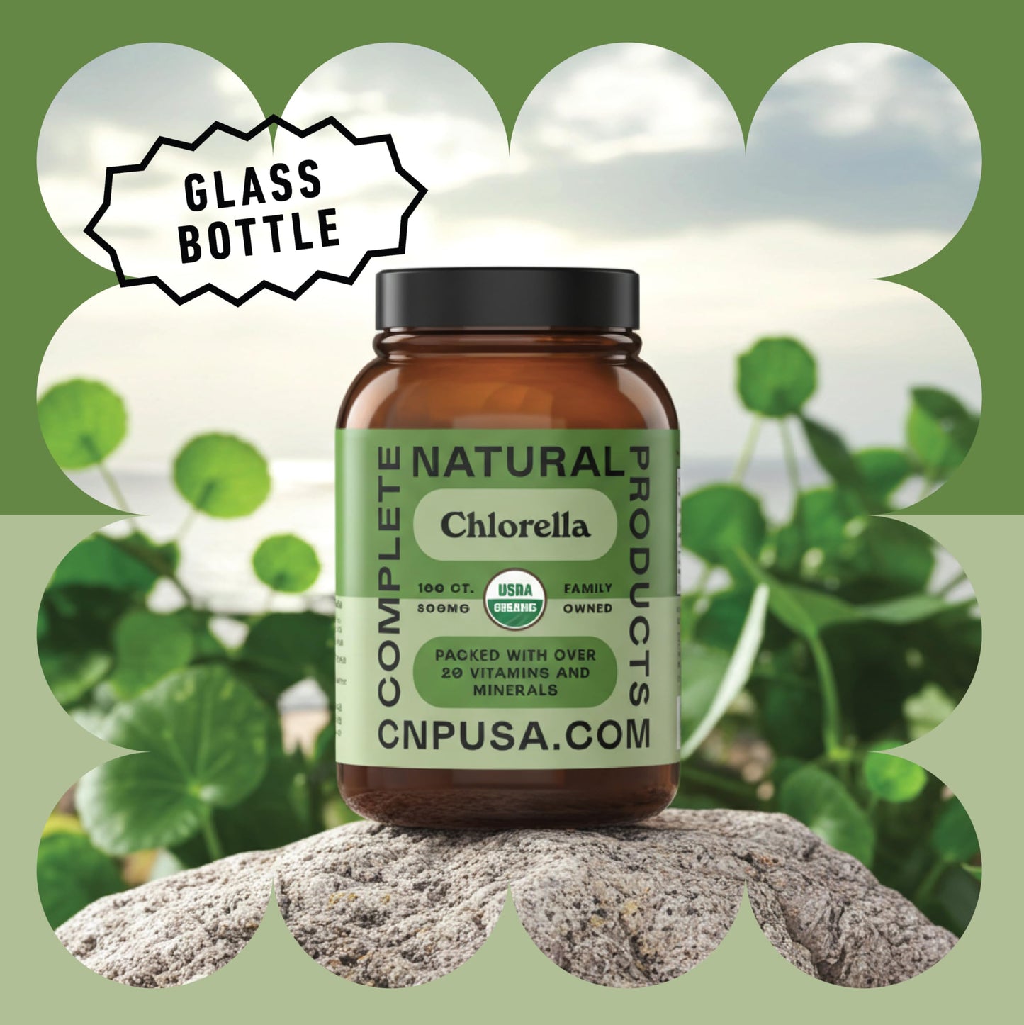 Complete Natural Products Organic Chlorella Capsules, 500mg, 100 Count