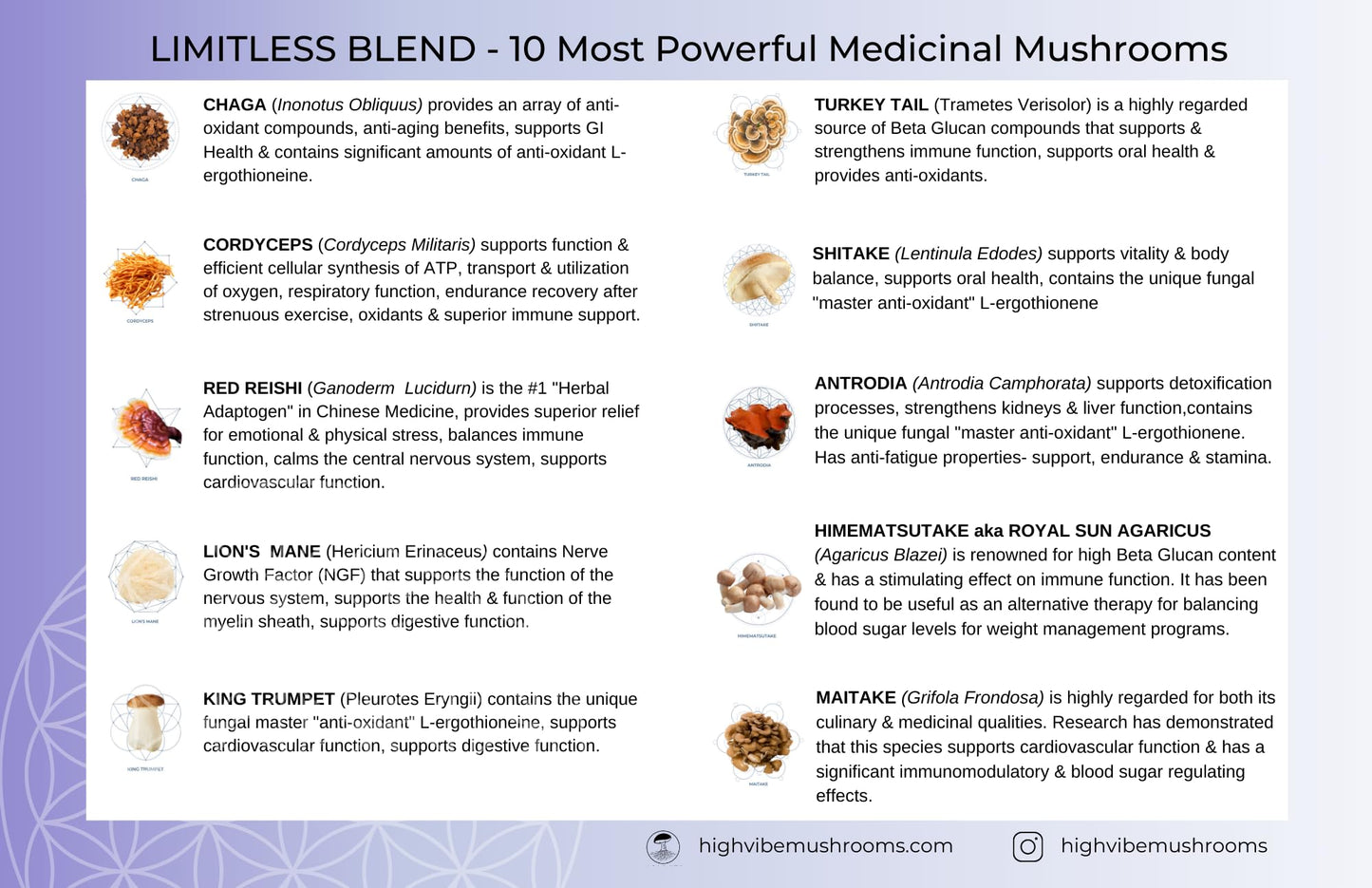 High Vibe Mushrooms Limitless Mushroom Powder Organic 10-in-1 Mushroom Blend for Focus, Energy & Immune Support, 8 Ounce
