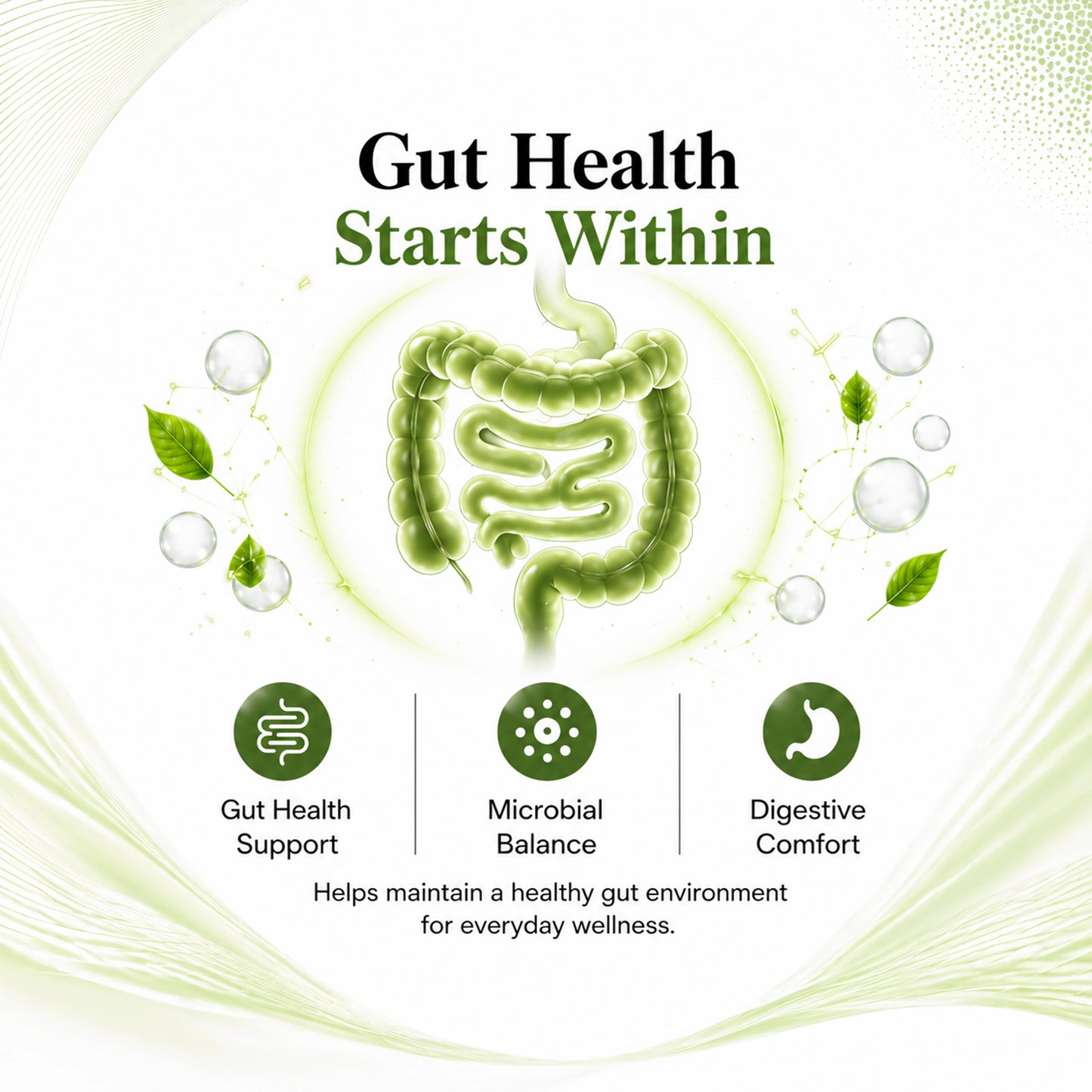 ZENJNG Gut Health Support Prebiotic & Probiotic Blend with Akkermansia, Clostridium Butyricum & Bifidobacterium Microbiome Balance & Daily Digestive Wellness Capsules 60