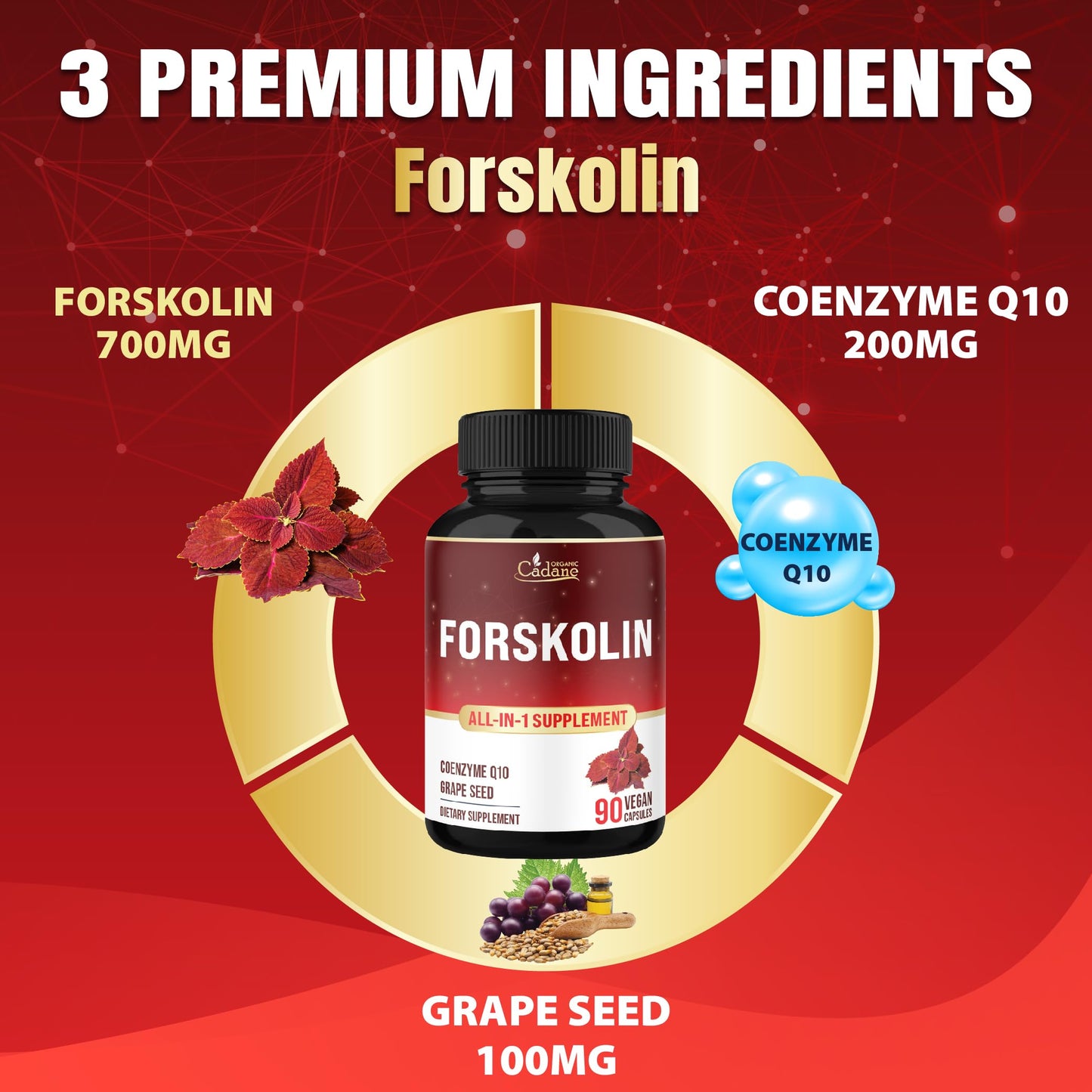Organic Cadane Forskolin Supplement with Coenzyme Q10 & Grape Seed Extract 90 Capsules