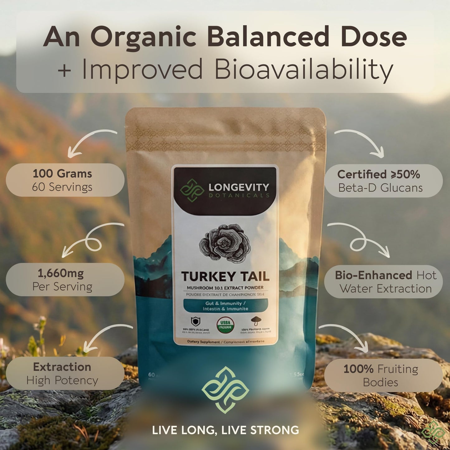 Longevity Botanicals Organic Turkey Tail Mushroom Powder Extract 3.5 oz