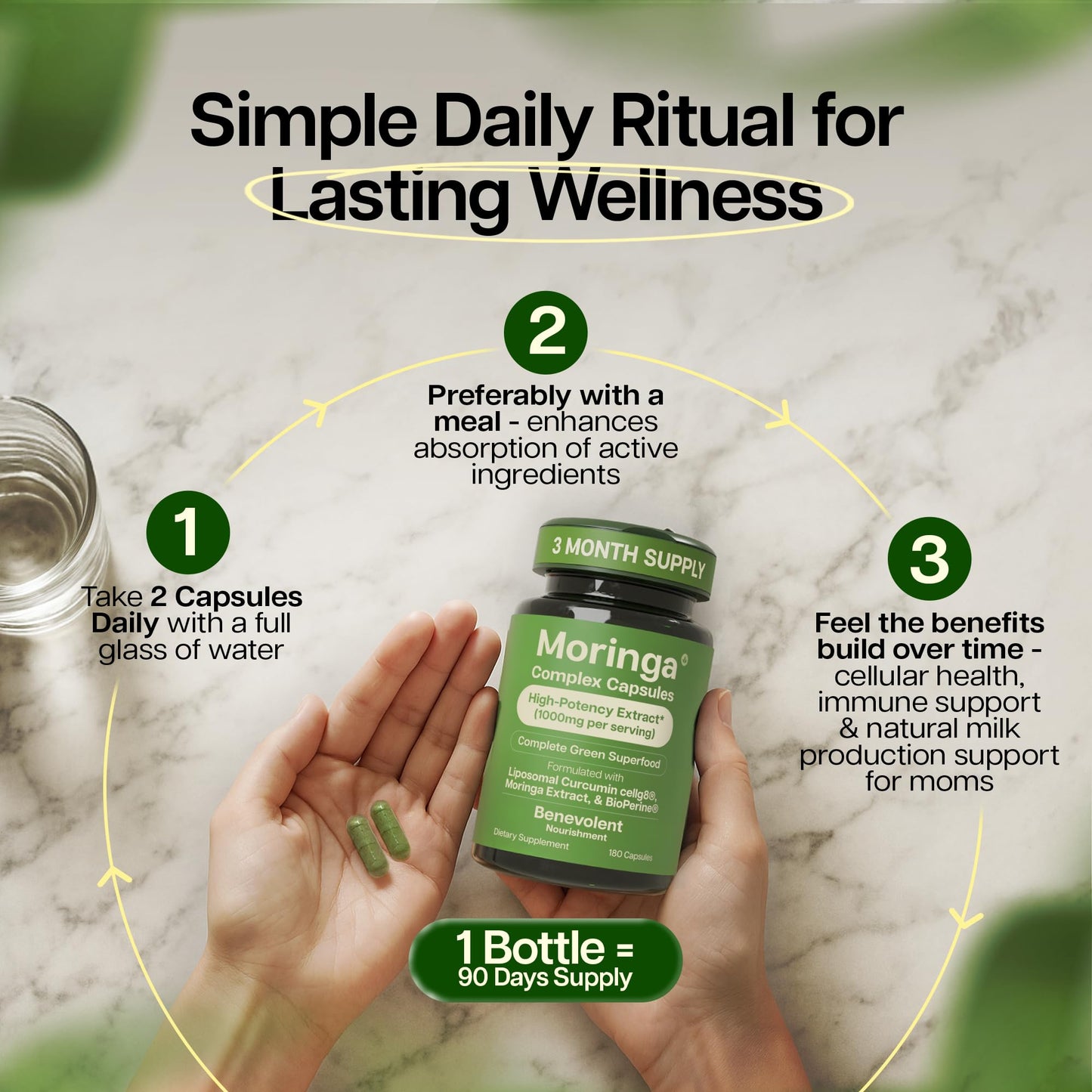 Benevolent Nourishment Moringa Capsules with Liposomal Curcumin & BioPerine 180 Count Capsules