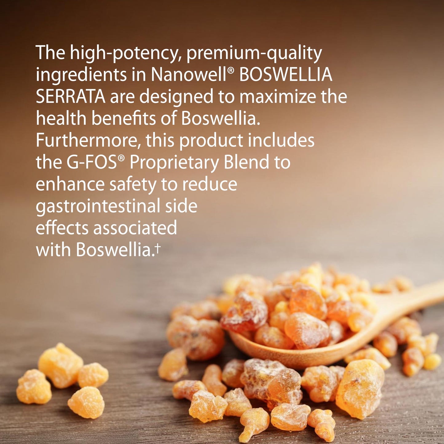 NANOWELL Boswellia Serrata with G-FOS 98% Boswellic Acid Capsules, 360 Count