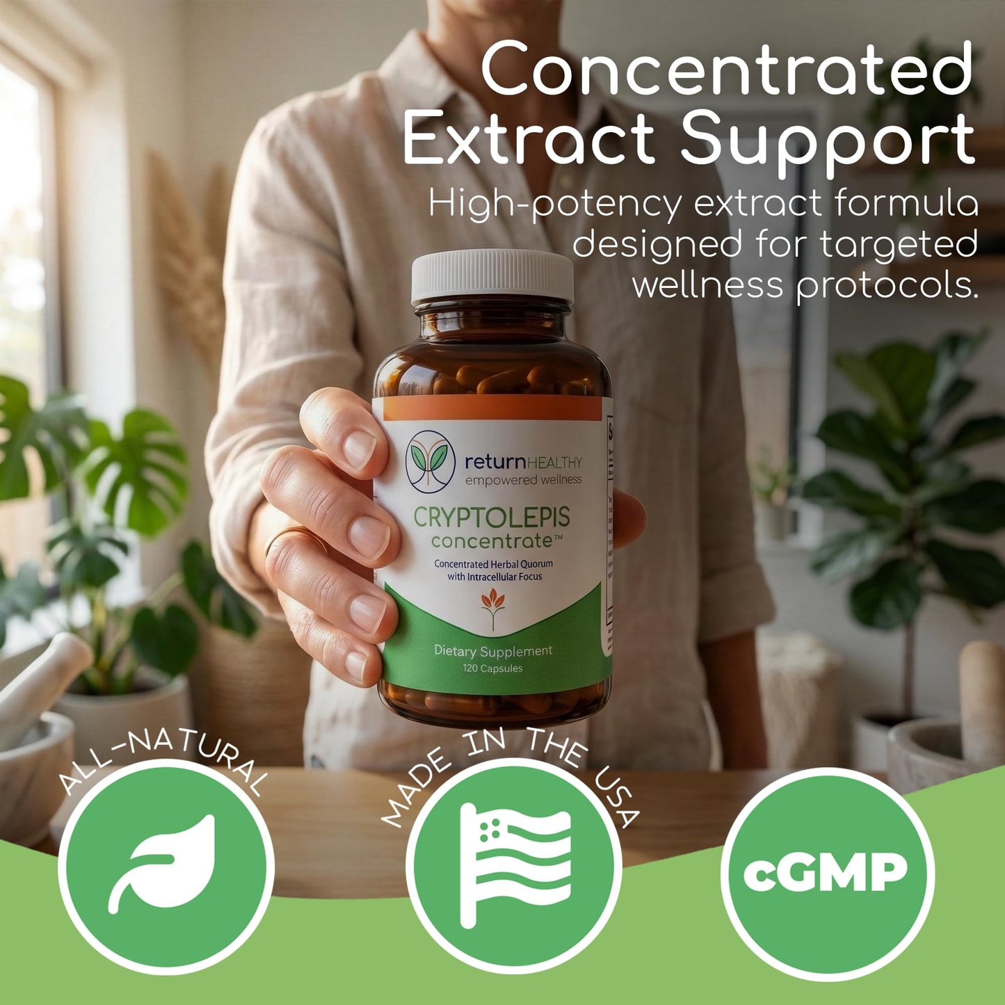 Return Healthy Cryptolepis Concentrate 120 Capsules